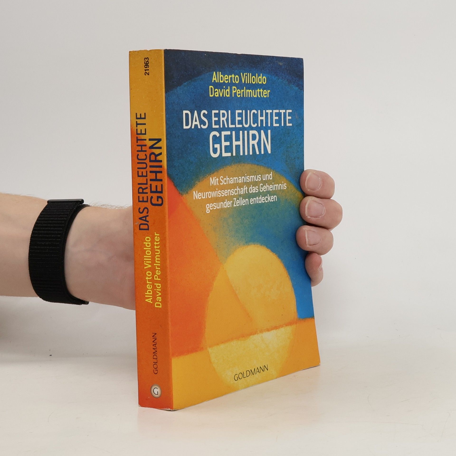 Alberto Villoldo Das erleuchtete Gehirn