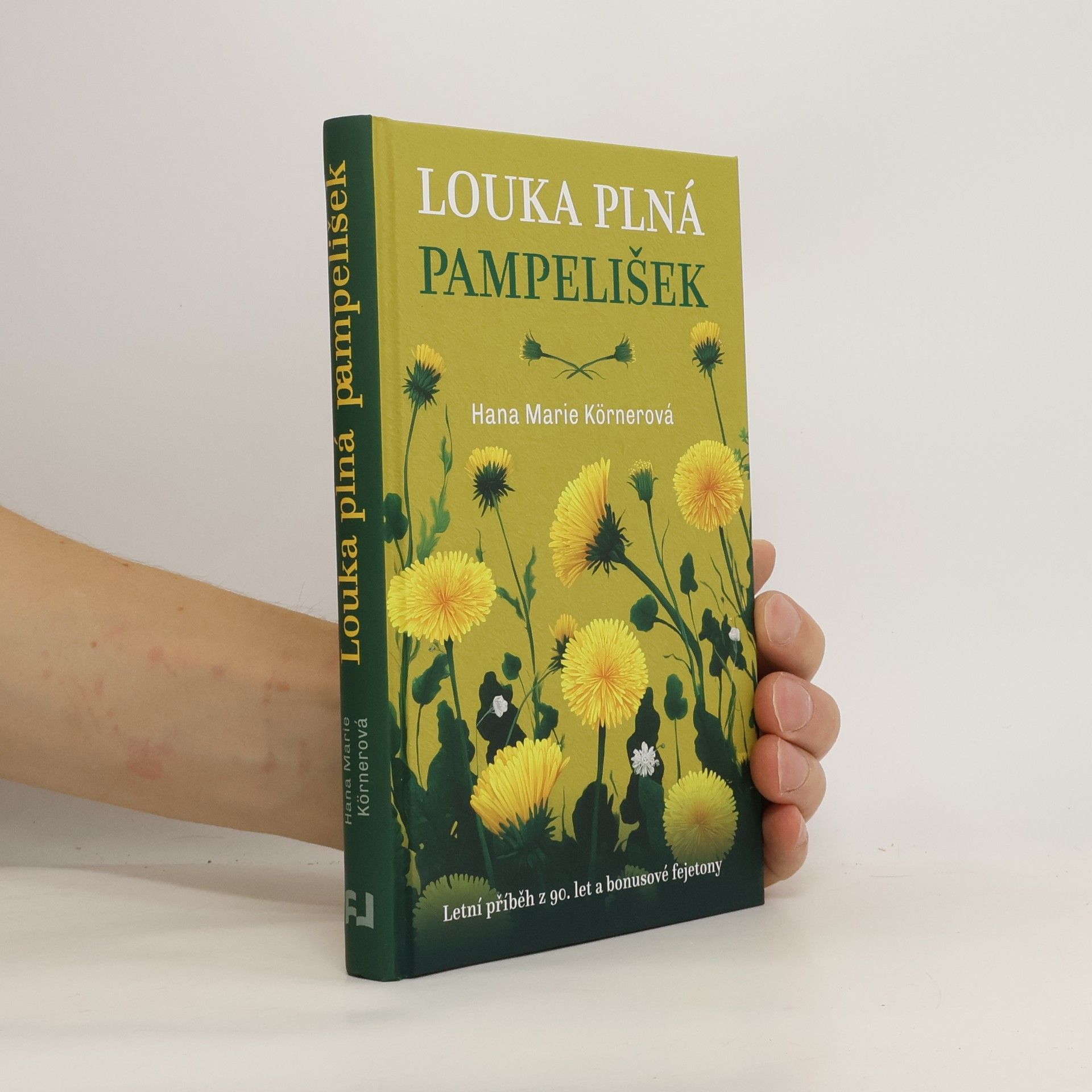 Louka plná pampelišek