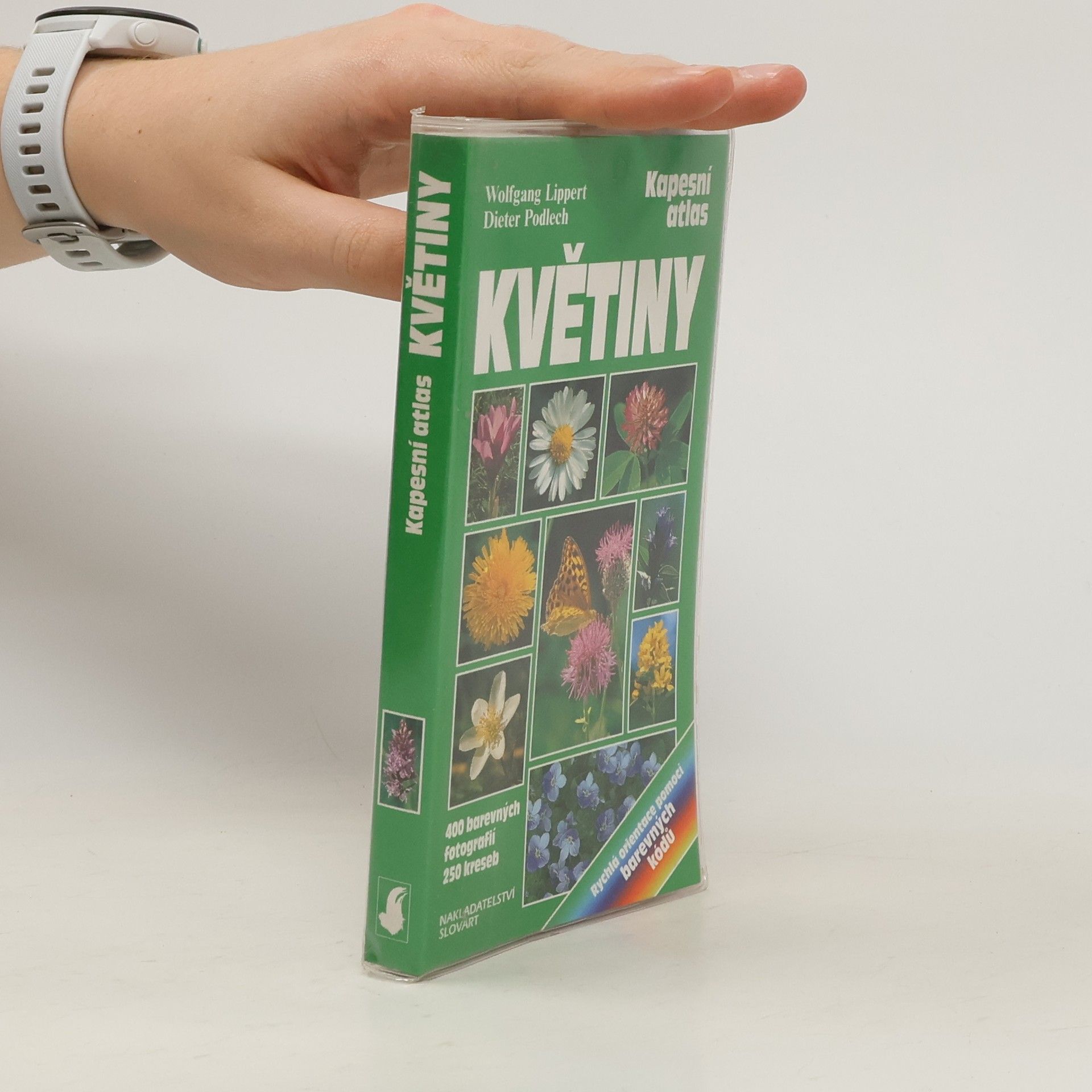 Wolfgang Lippert Květiny. Poznávání a určování důležitých kvetoucích rostlin střední Evropy