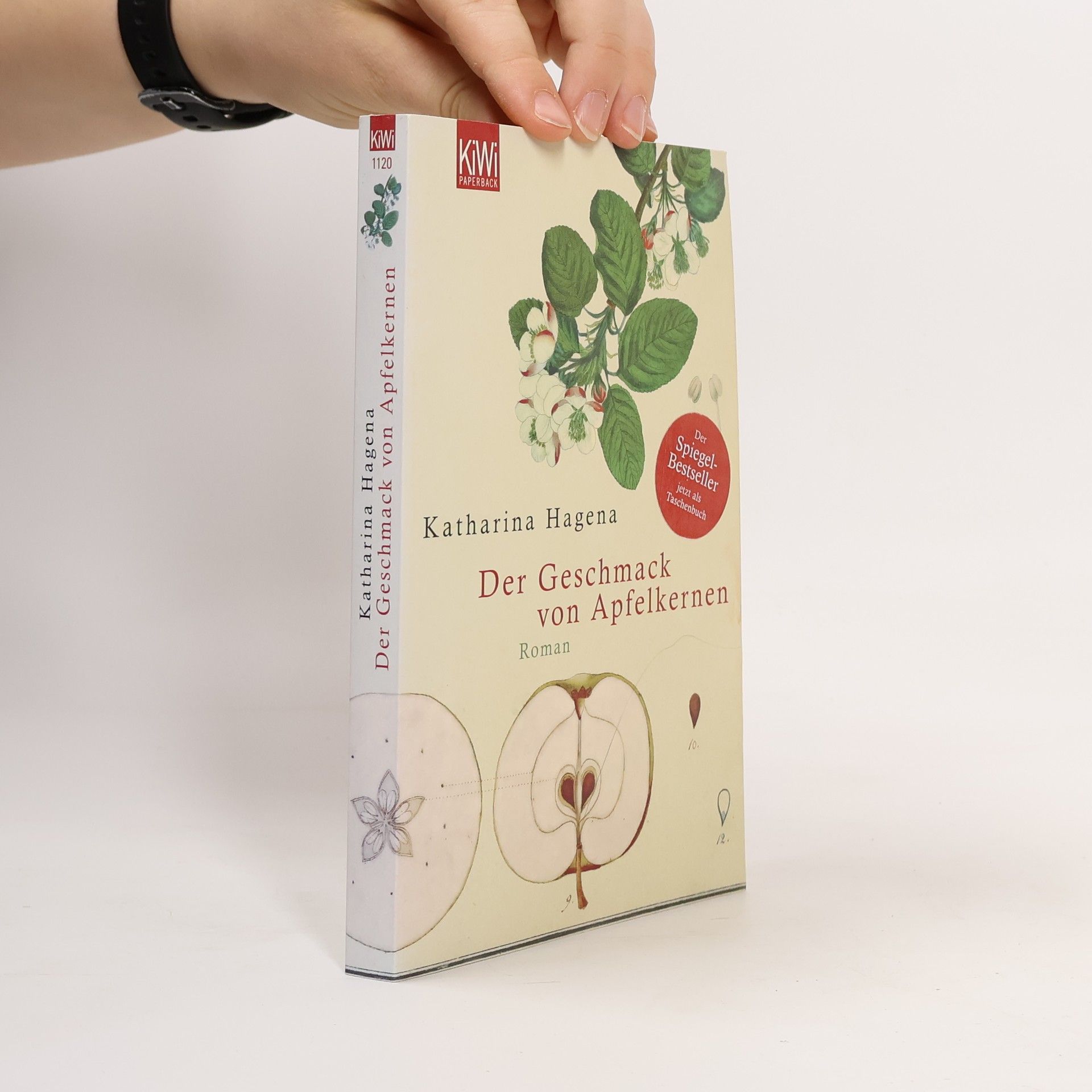Katharina Hagena Der Geschmack von Apfelkernen