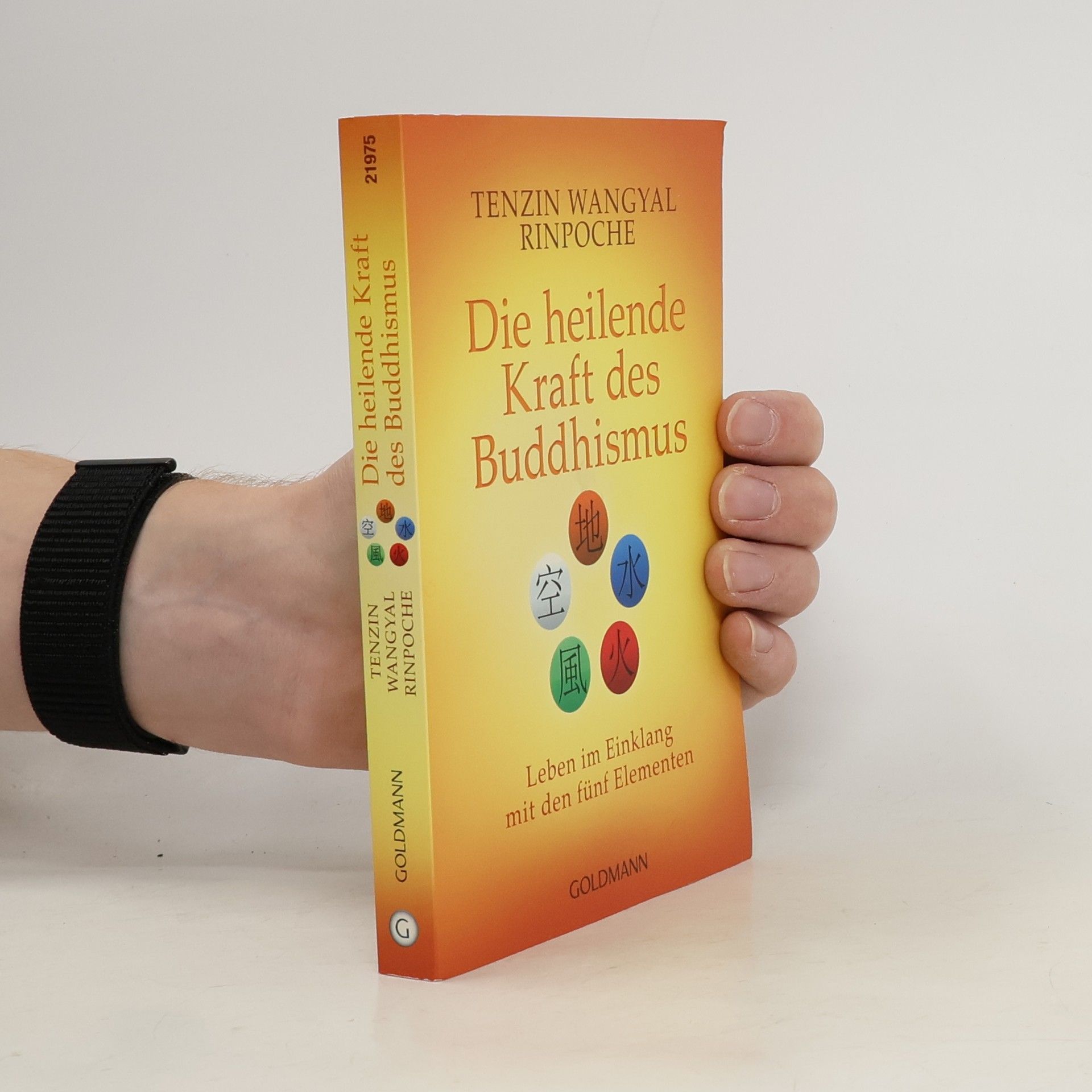 Tändzin Wanggjal Die heilende Kraft des Buddhismus