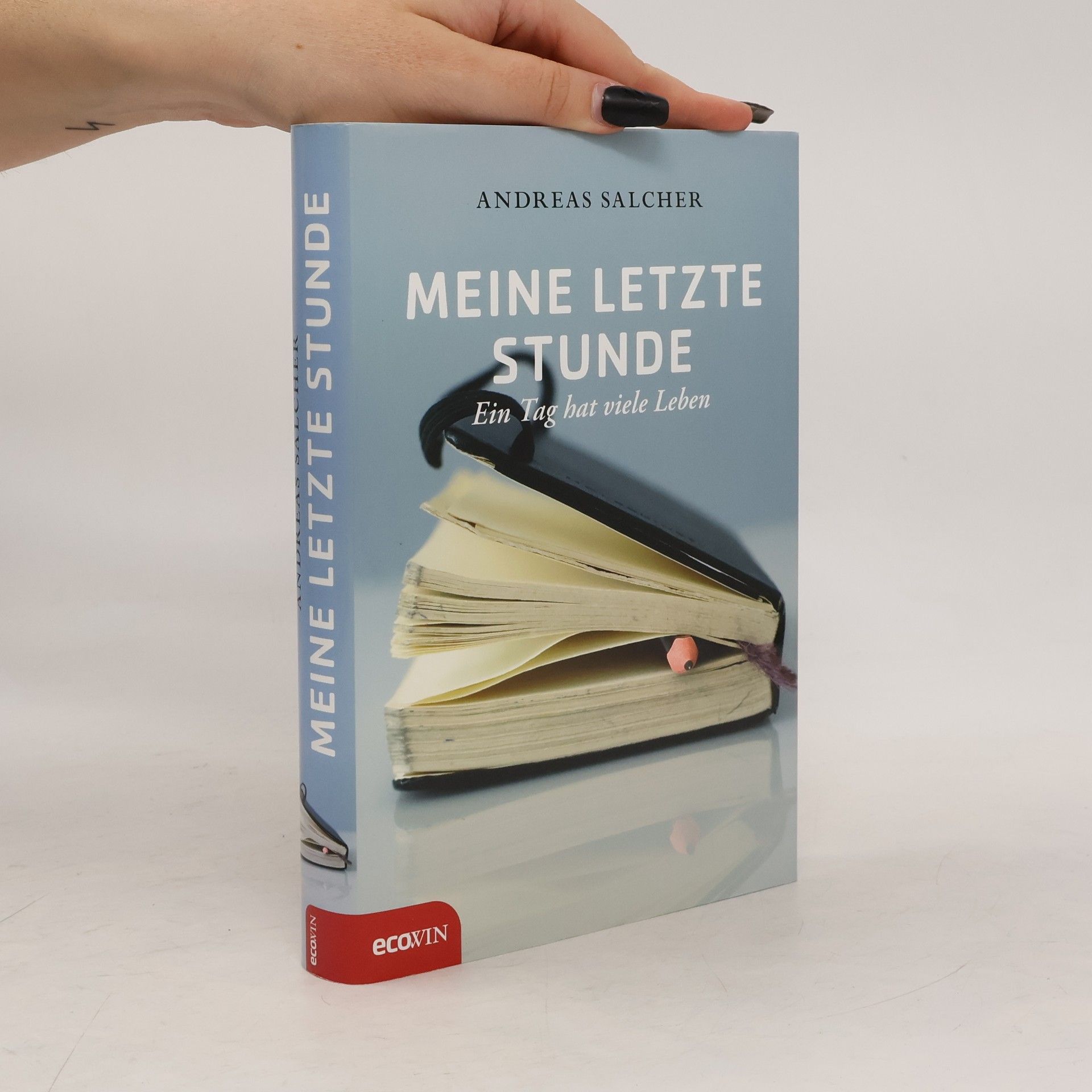 Andreas Salcher Meine letzte Stunde