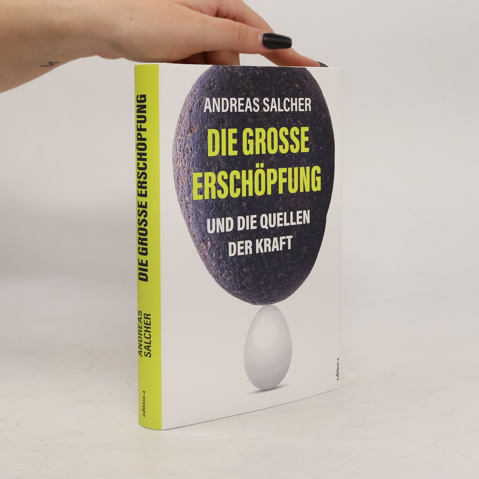 Andreas Salcher Die grosse Erschöpfung und die Quellen der Kraft