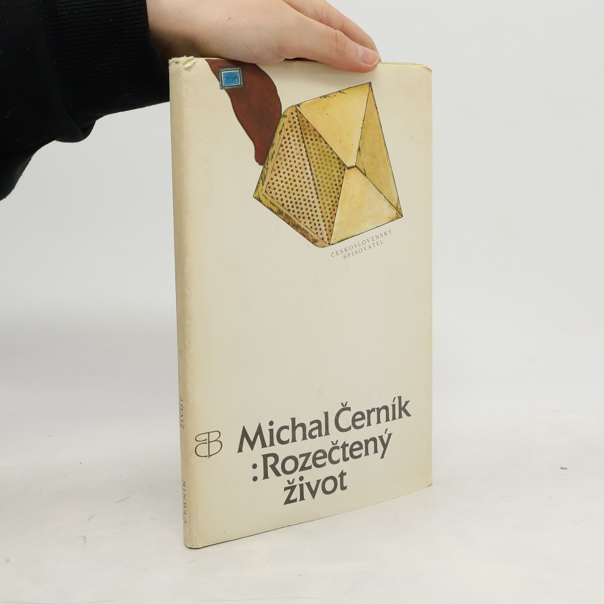 Michal Černík Rozečtený život