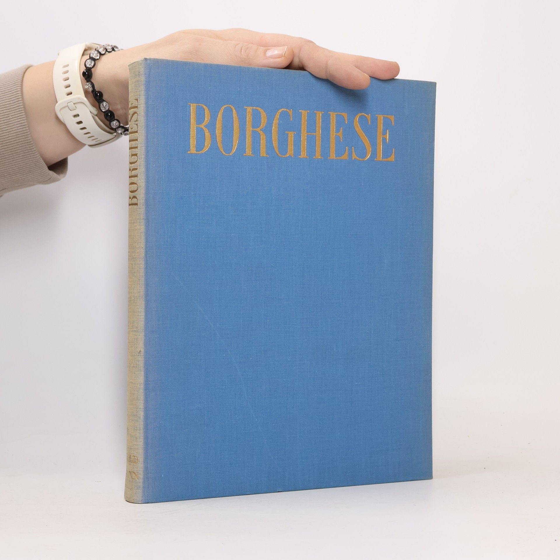 AA.VV. Die Galerie Borghese in Rom