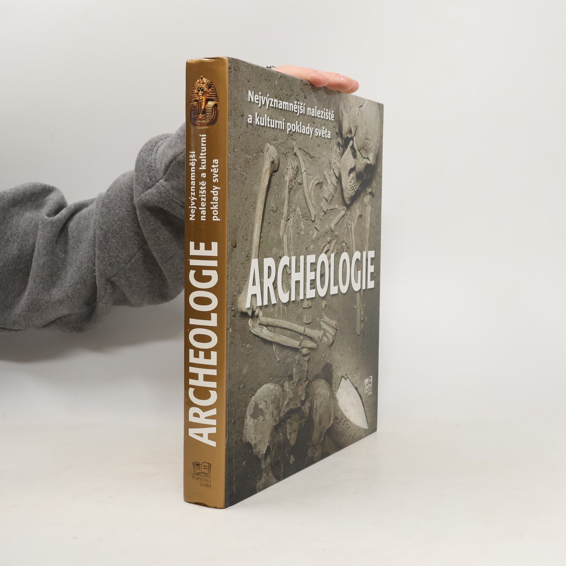 Bahram Ajorloo Archeologie: Nejvýznamnější naleziště a kulturní poklady světa