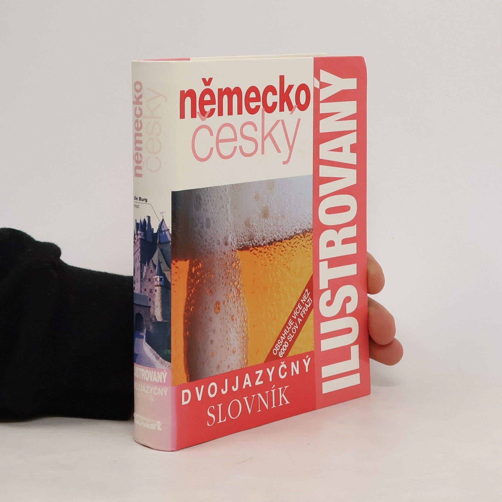 Autorenkollektiv Německo-český dvojjazyčný ilustrovaný slovník