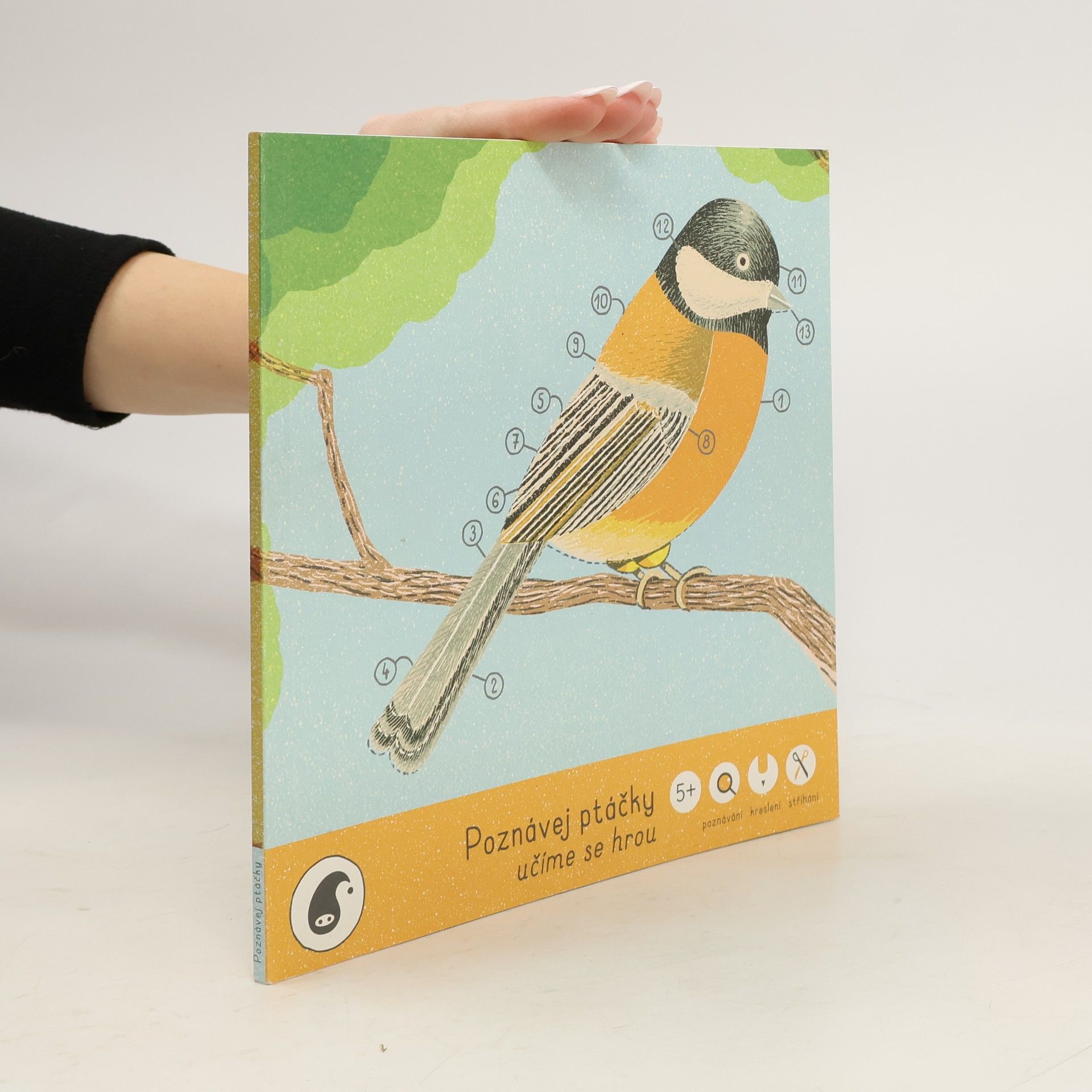 Jitka Musilová Poznávej ptáčky