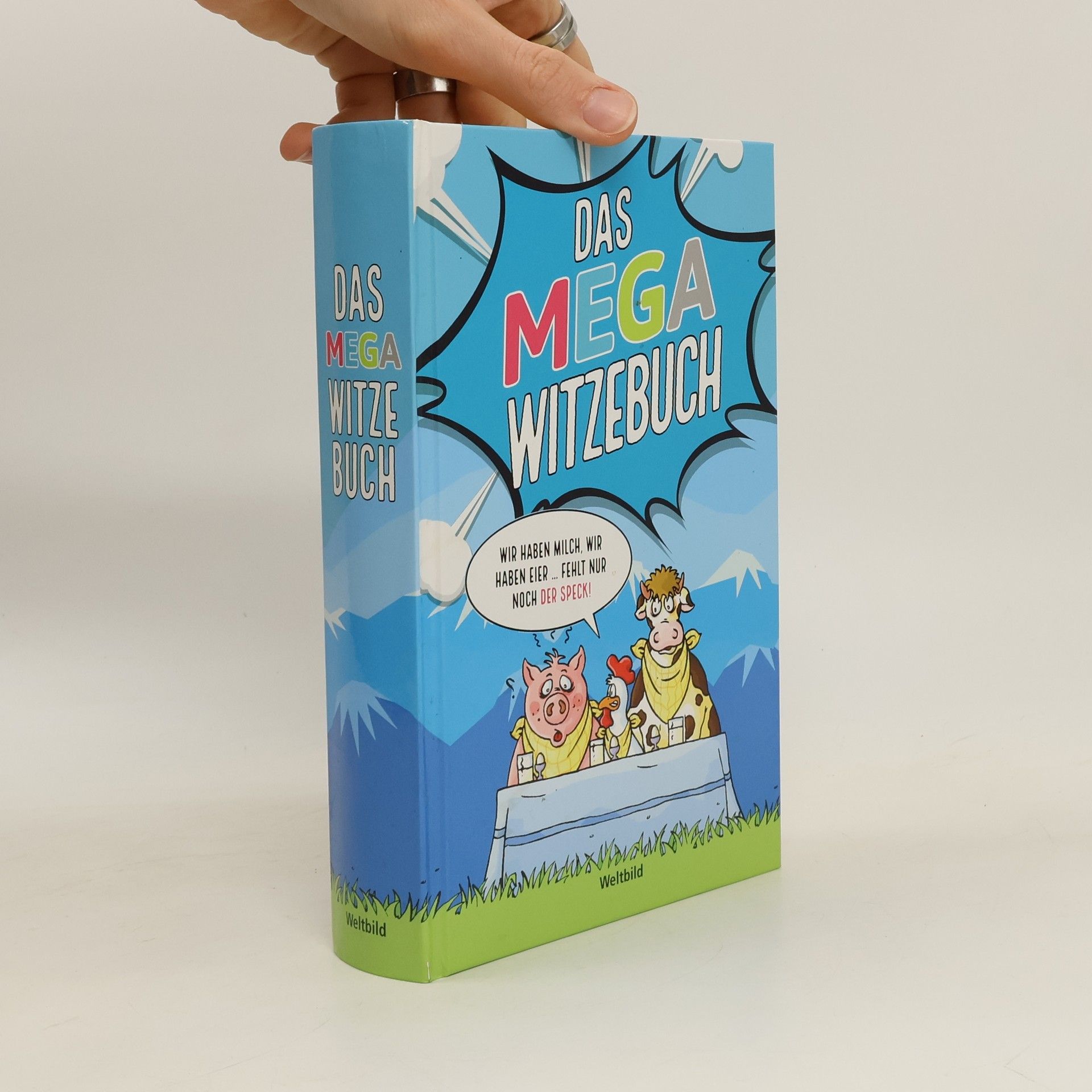 Auteurscollectief Das Mega Witzebuch