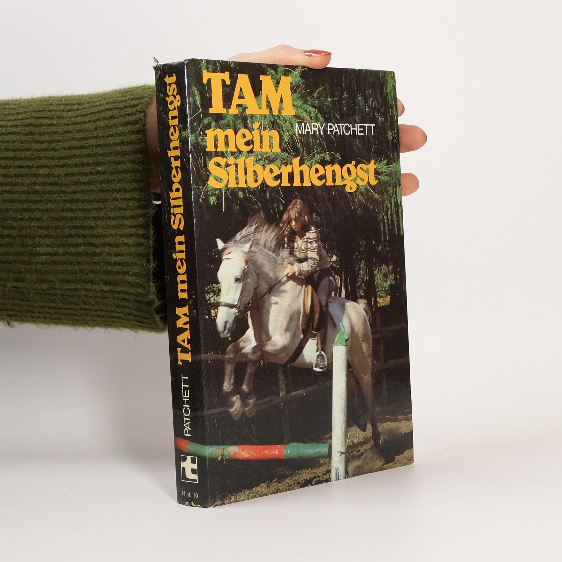 Mary Elwyn Patchett Tam, mein Silberhengst