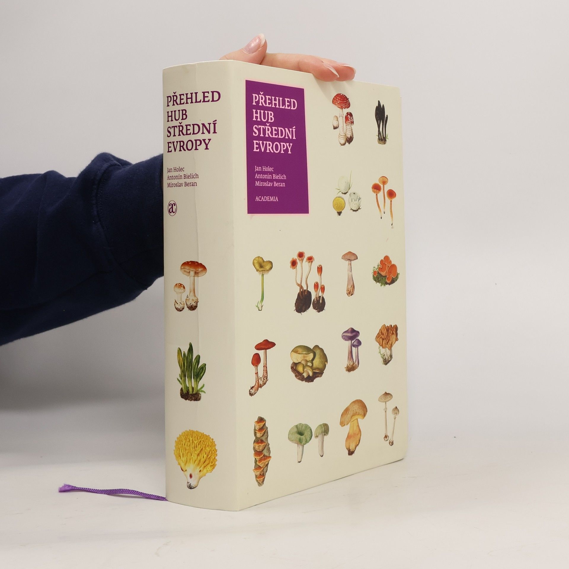 Jan Holec Přehled hub střední Evropy