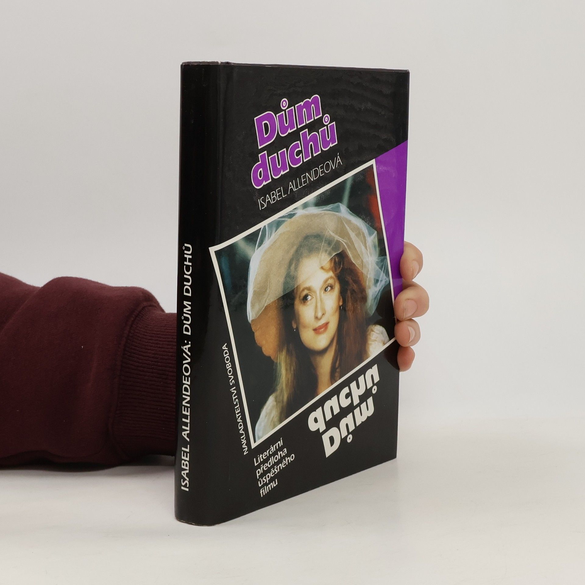 Isabel Allende Llona Dům duchů