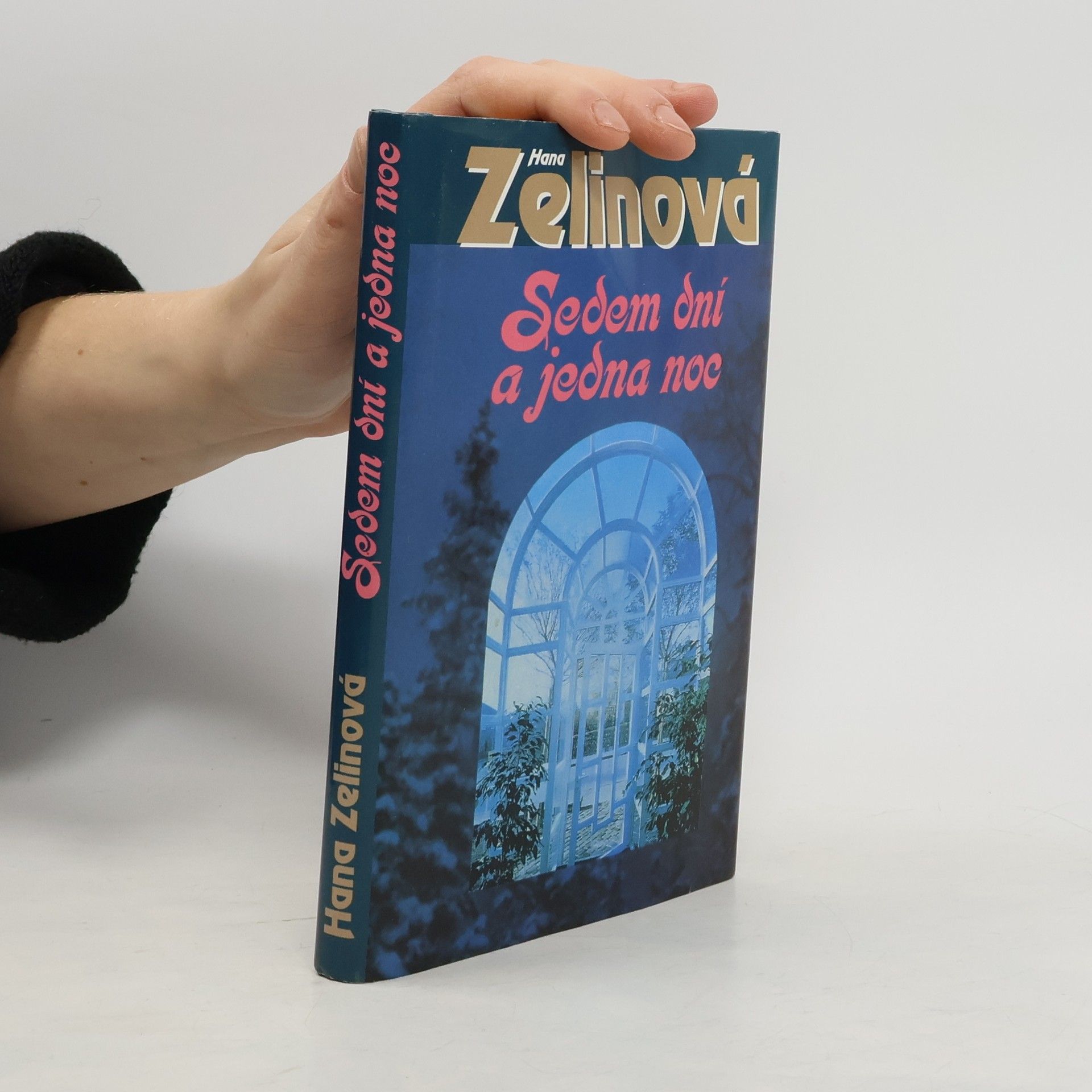 Hana Zelinová Sedem dní a jedna noc