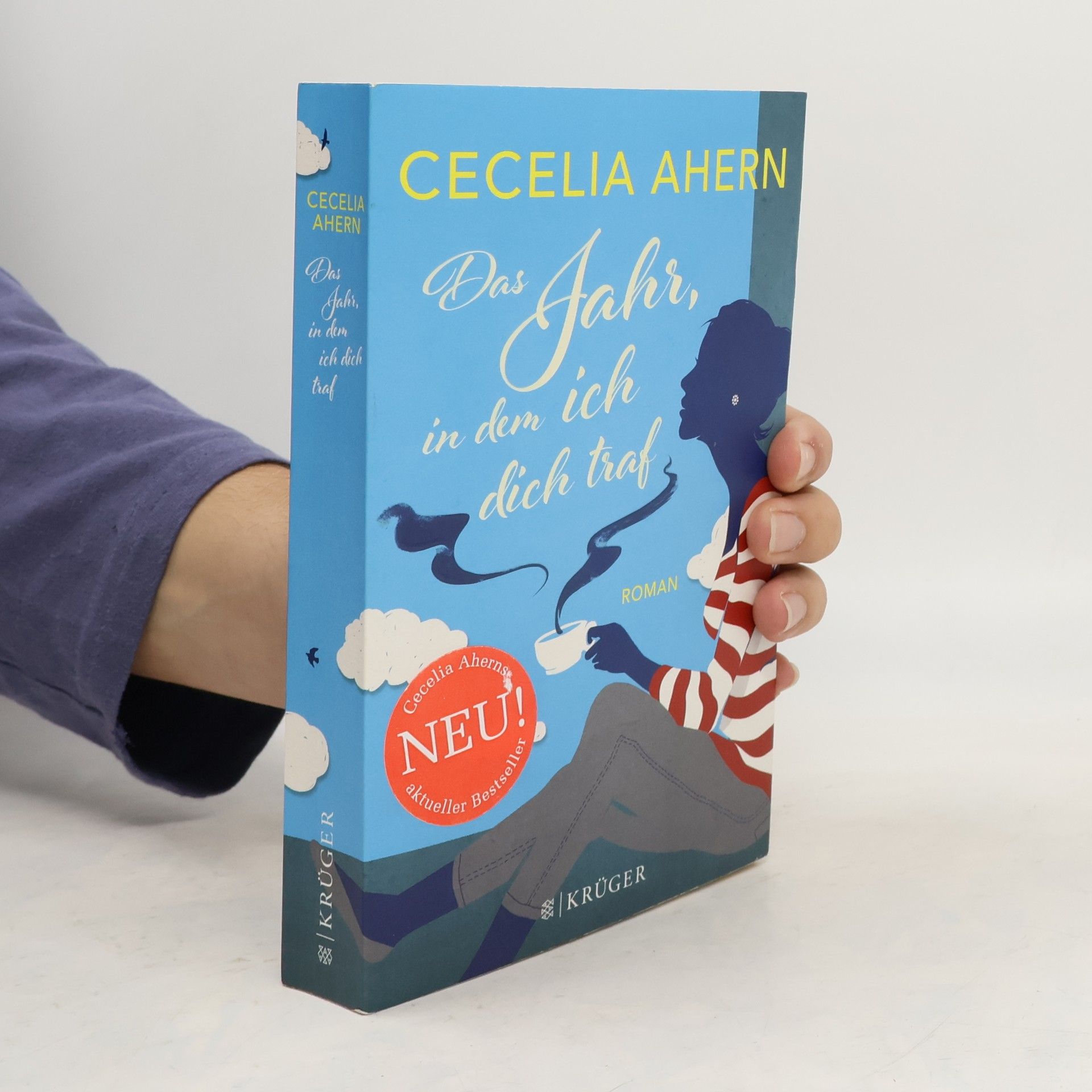 Cecelia Ahern Das Jahr, in dem ich dich traf