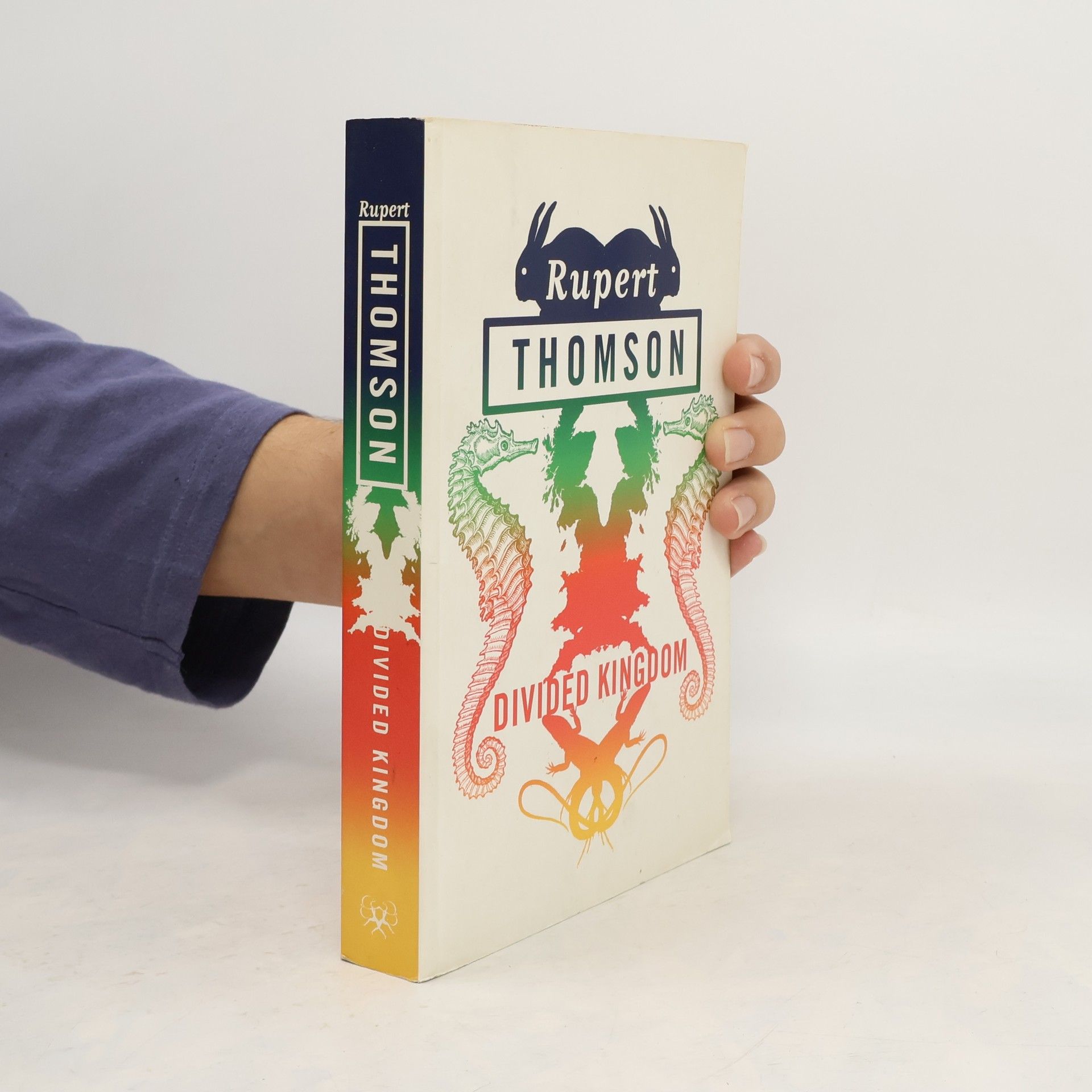 Rupert Thomson Divided Kingdom