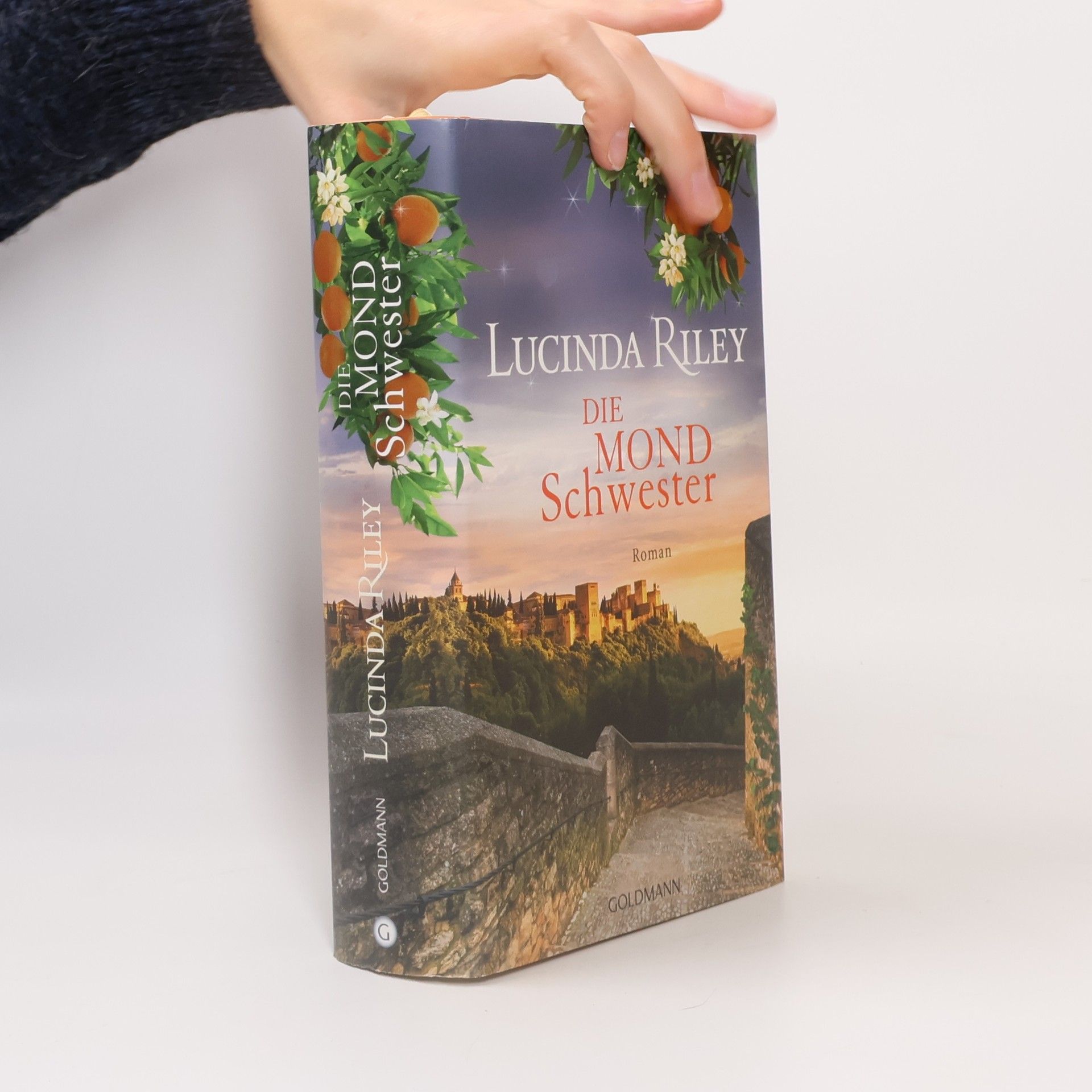 Lucinda Riley Die Mondschwester