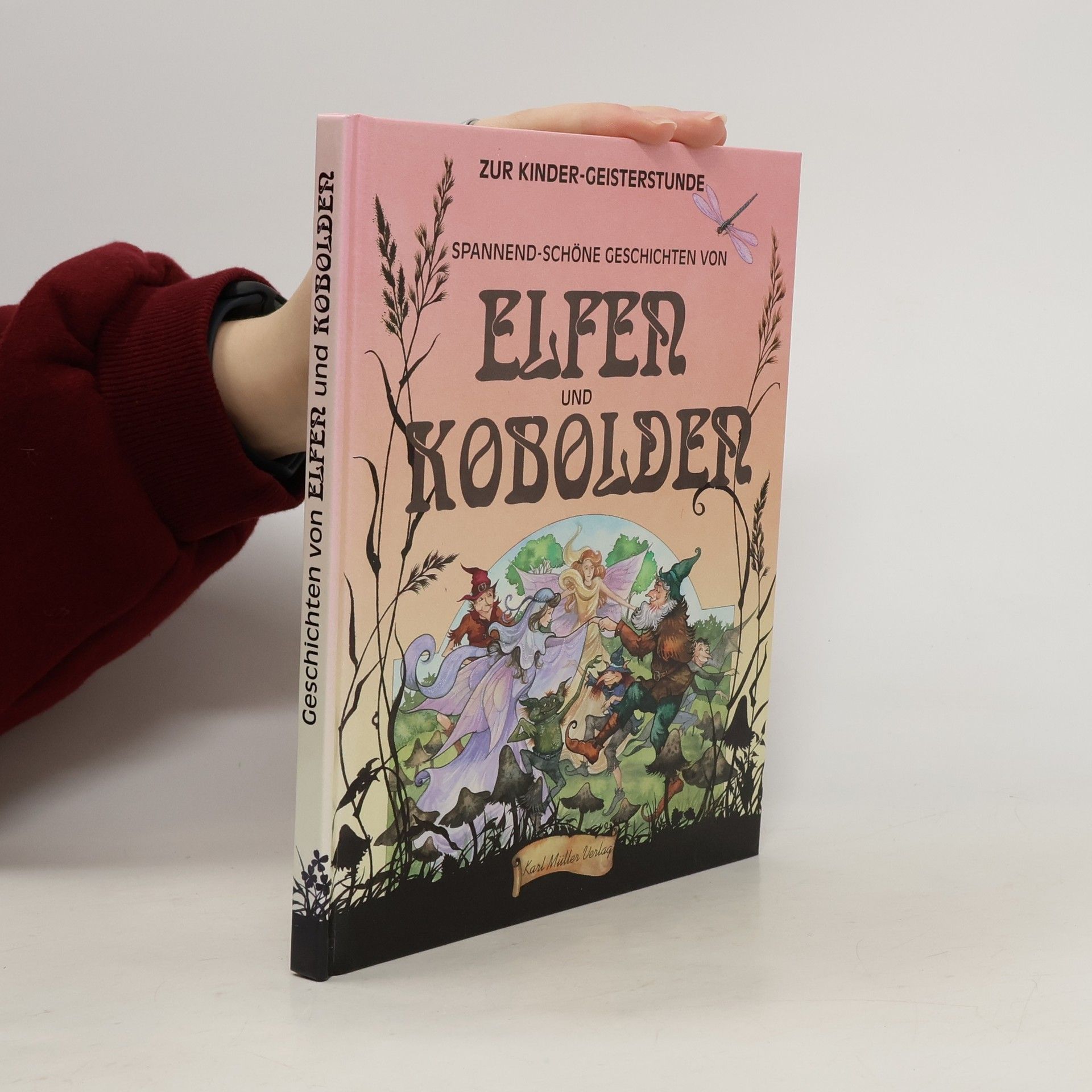 Collectif d'auteurs Spannend-schöne Geschichten von Elfen und Kobolden. Zur Kinder- Geisterstunde