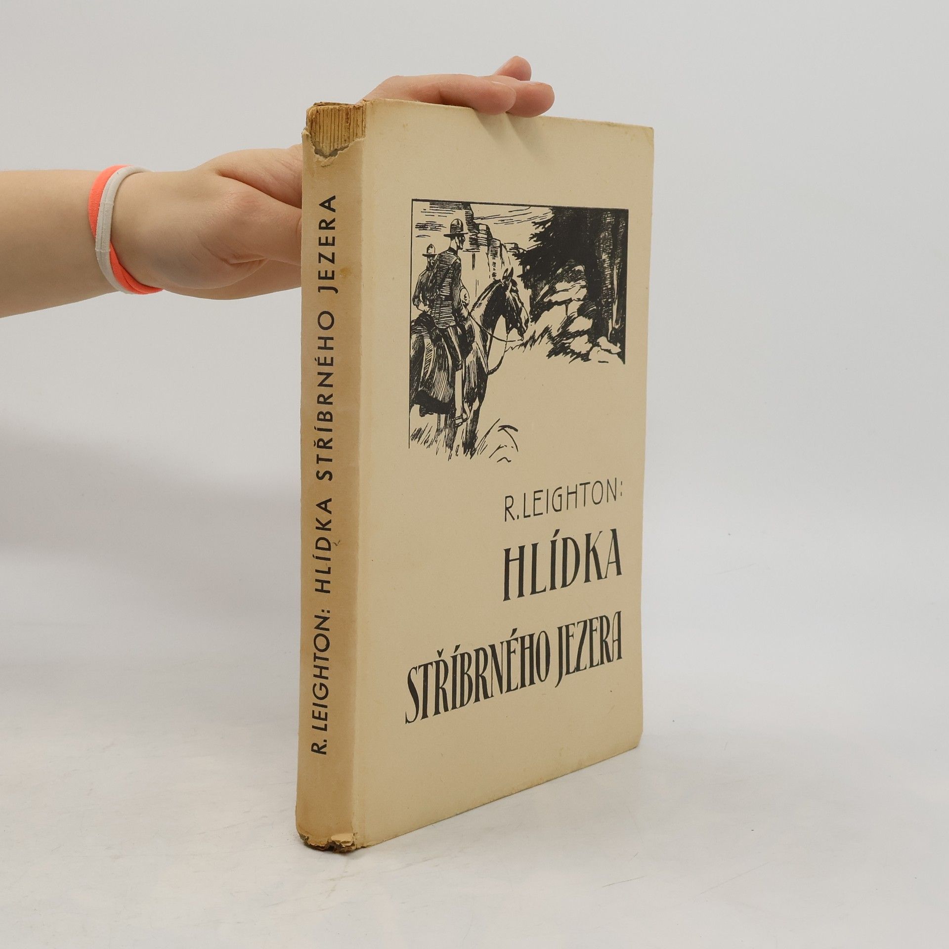 Robert Leighton Hlídka stříbrného jezera