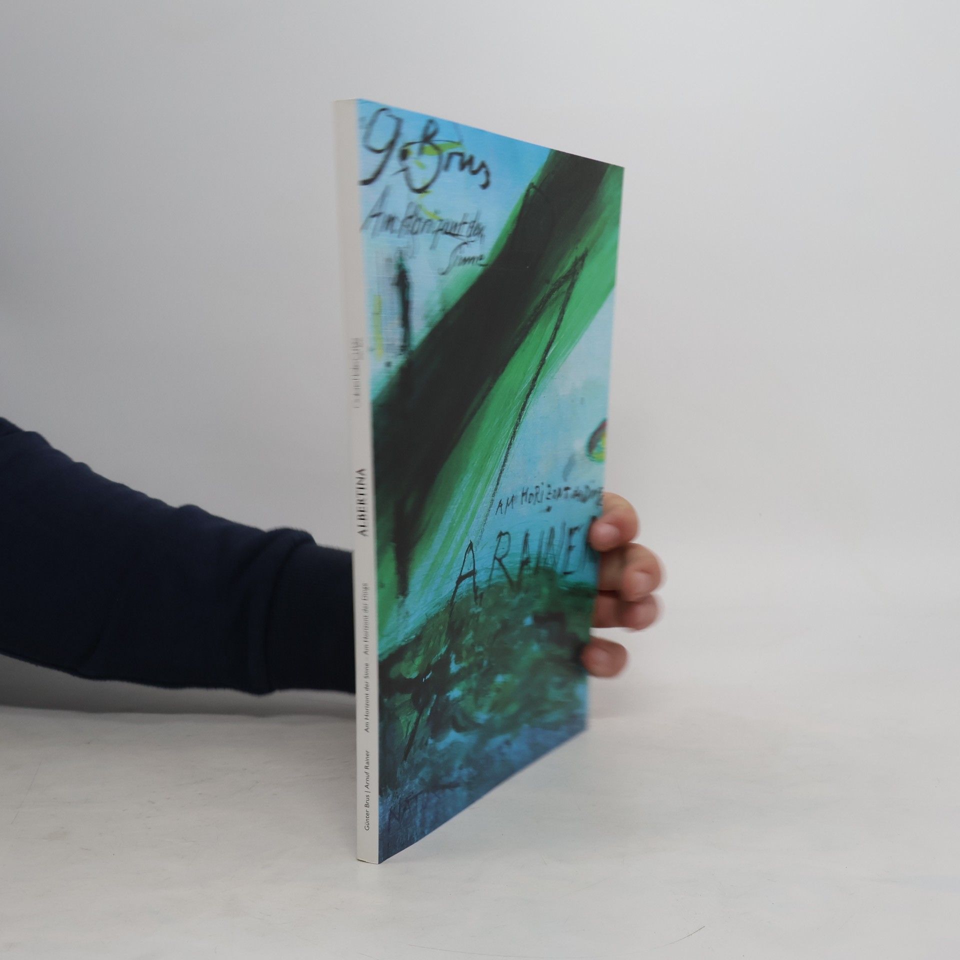 Klaus Albrecht Schröder Am Horizont der Sinne - am Horizont der Dinge