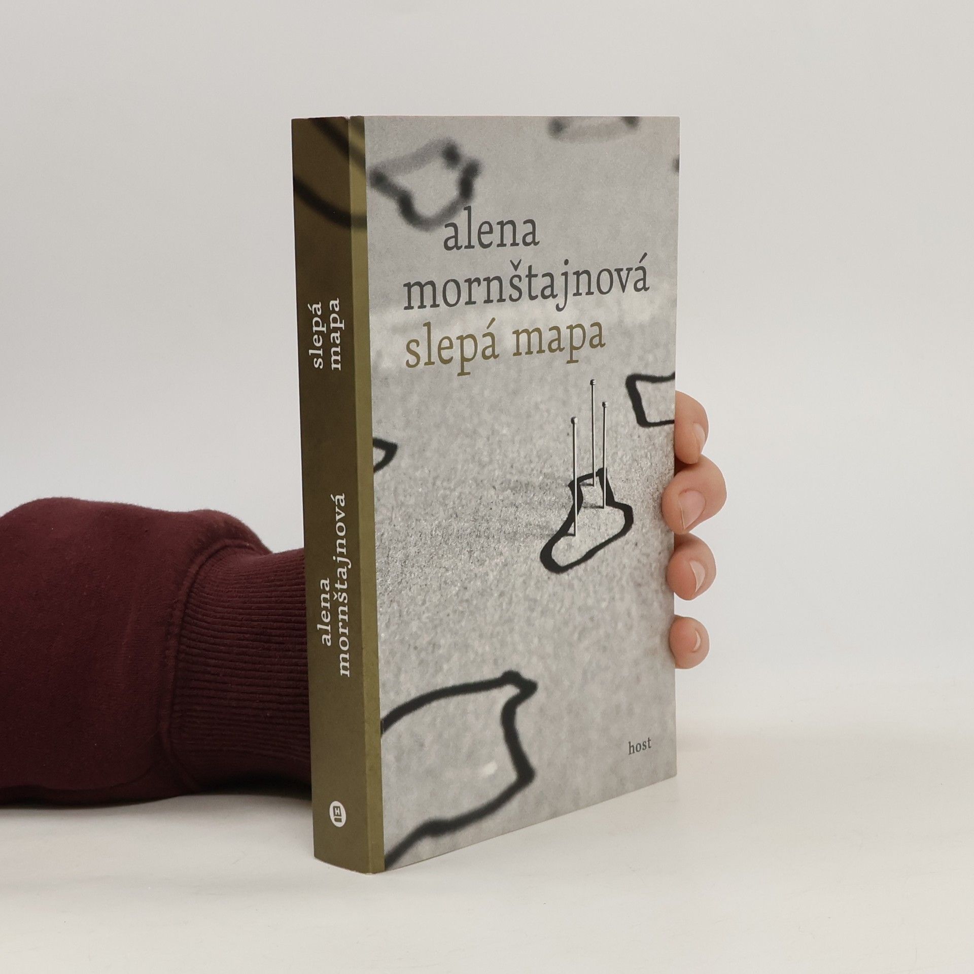 Alena Mornštajnová Slepá mapa