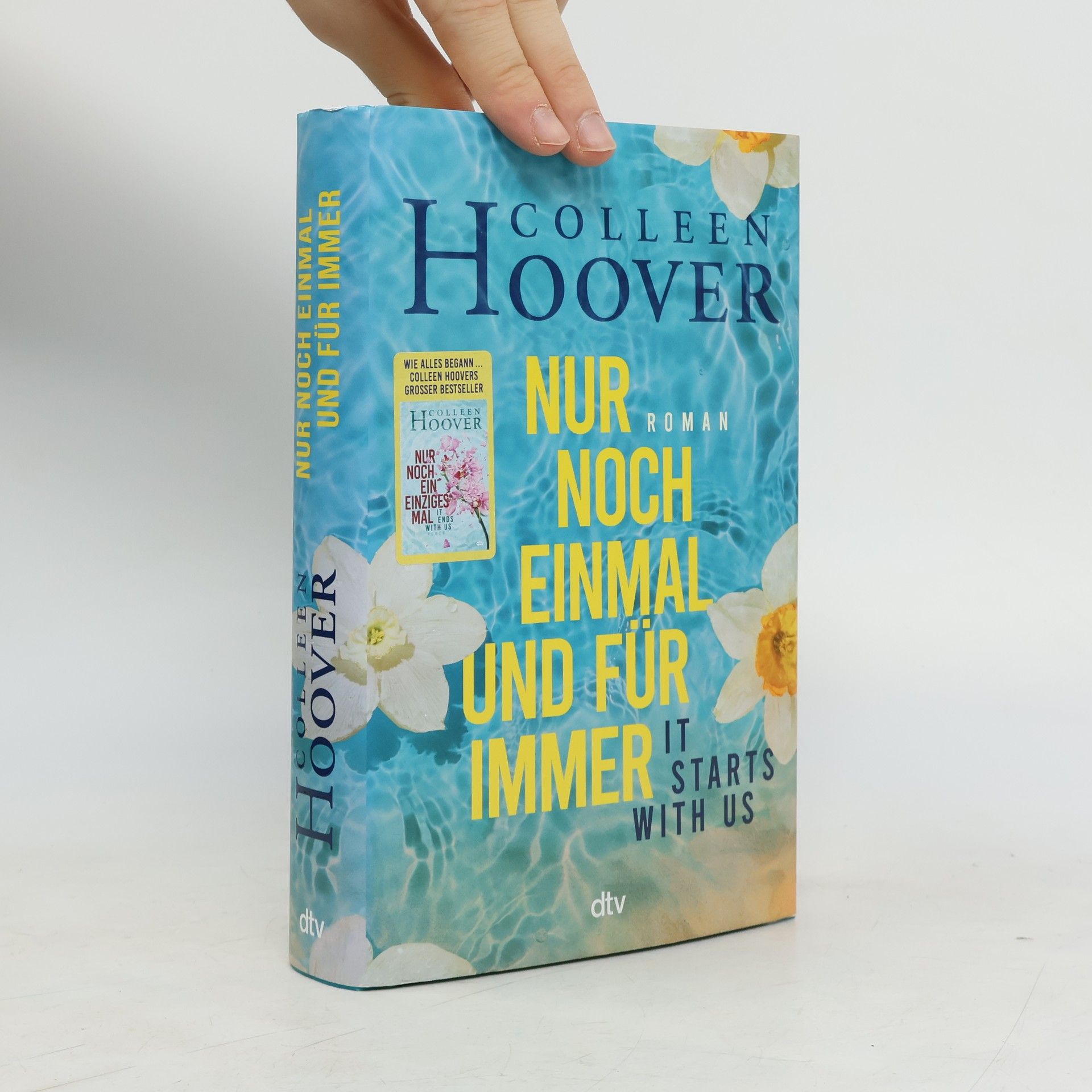 Colleen Hoover Nur noch einmal und für immer