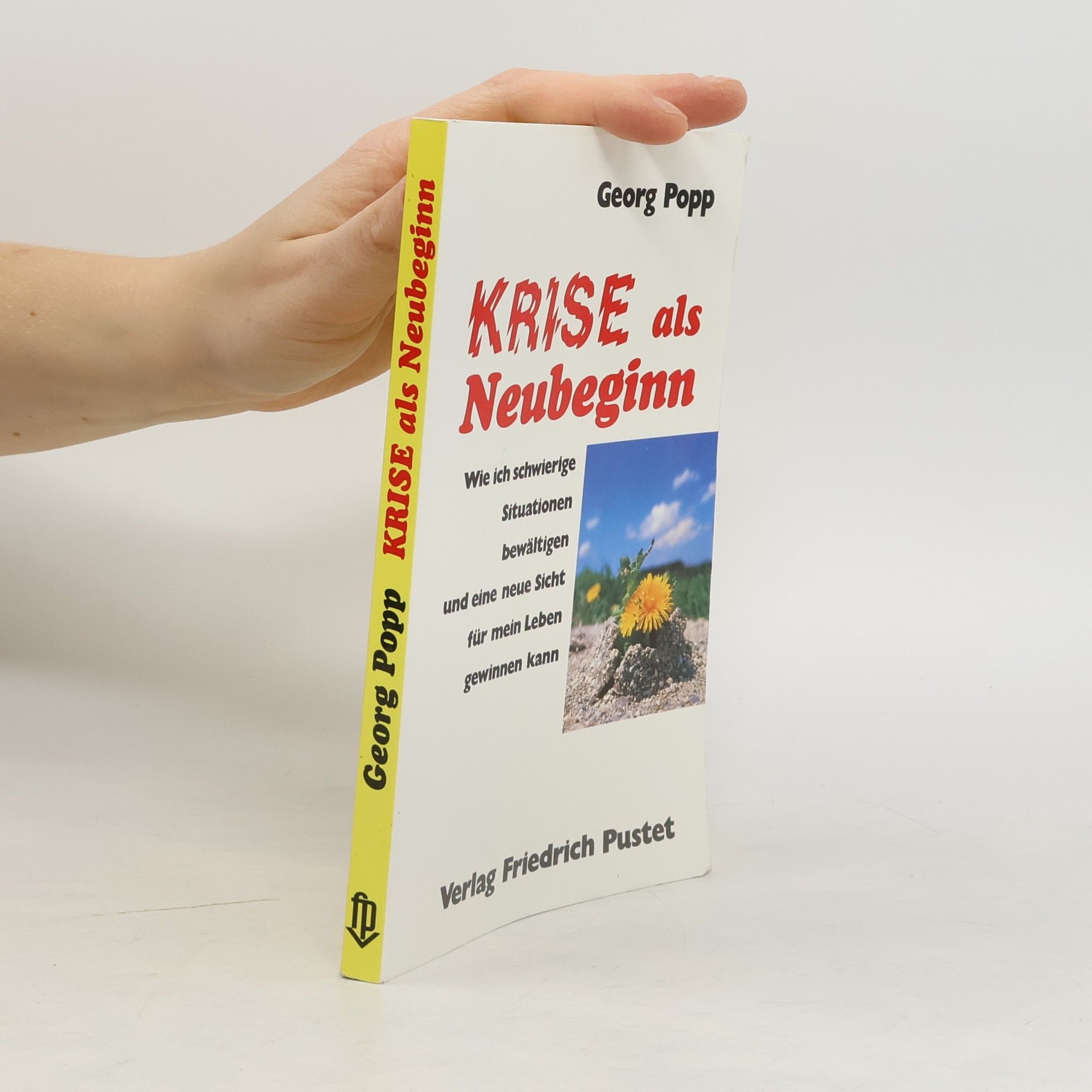 Georg Popp Krise als Neubeginn