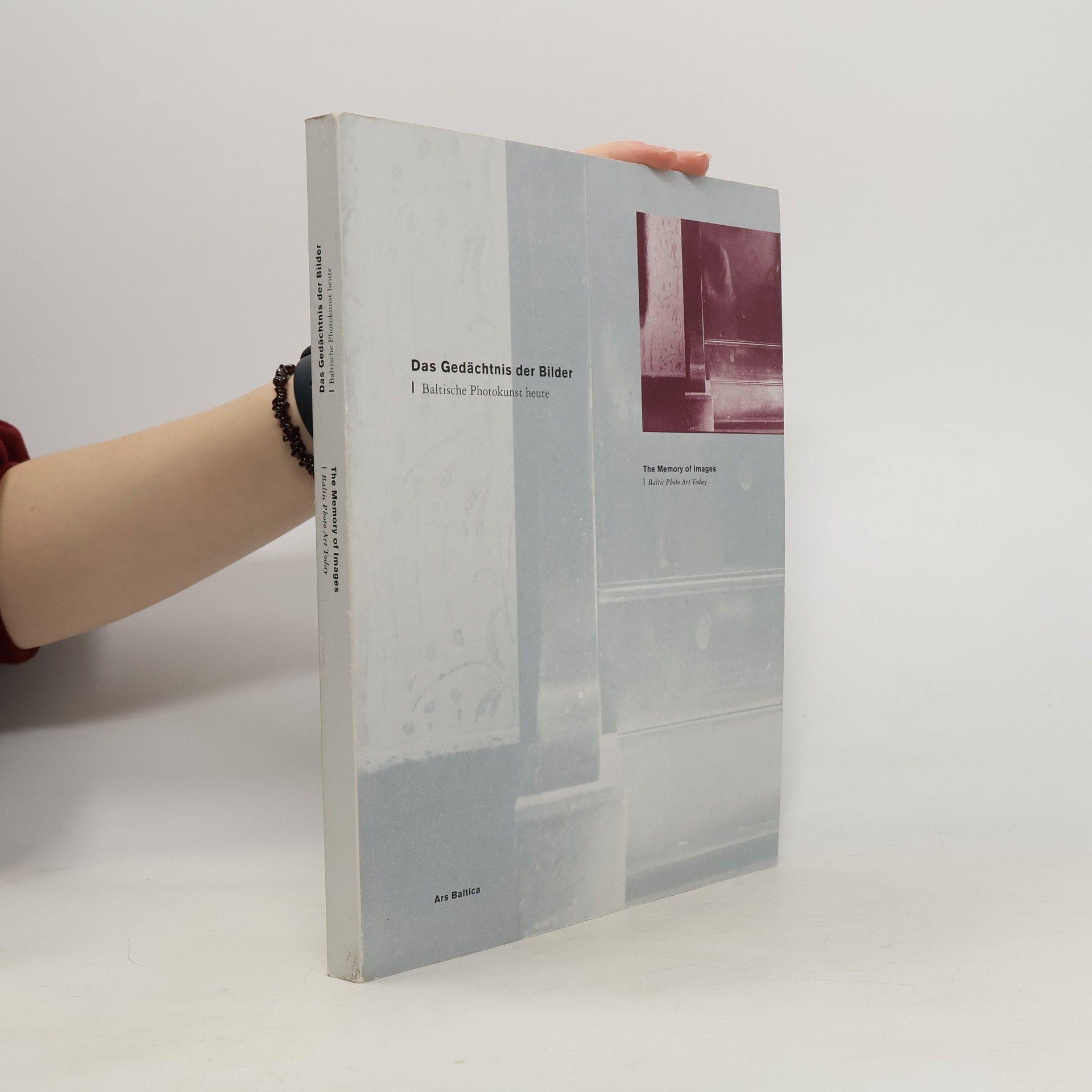 Barbara Straka Das Gedächtnis der Bilder