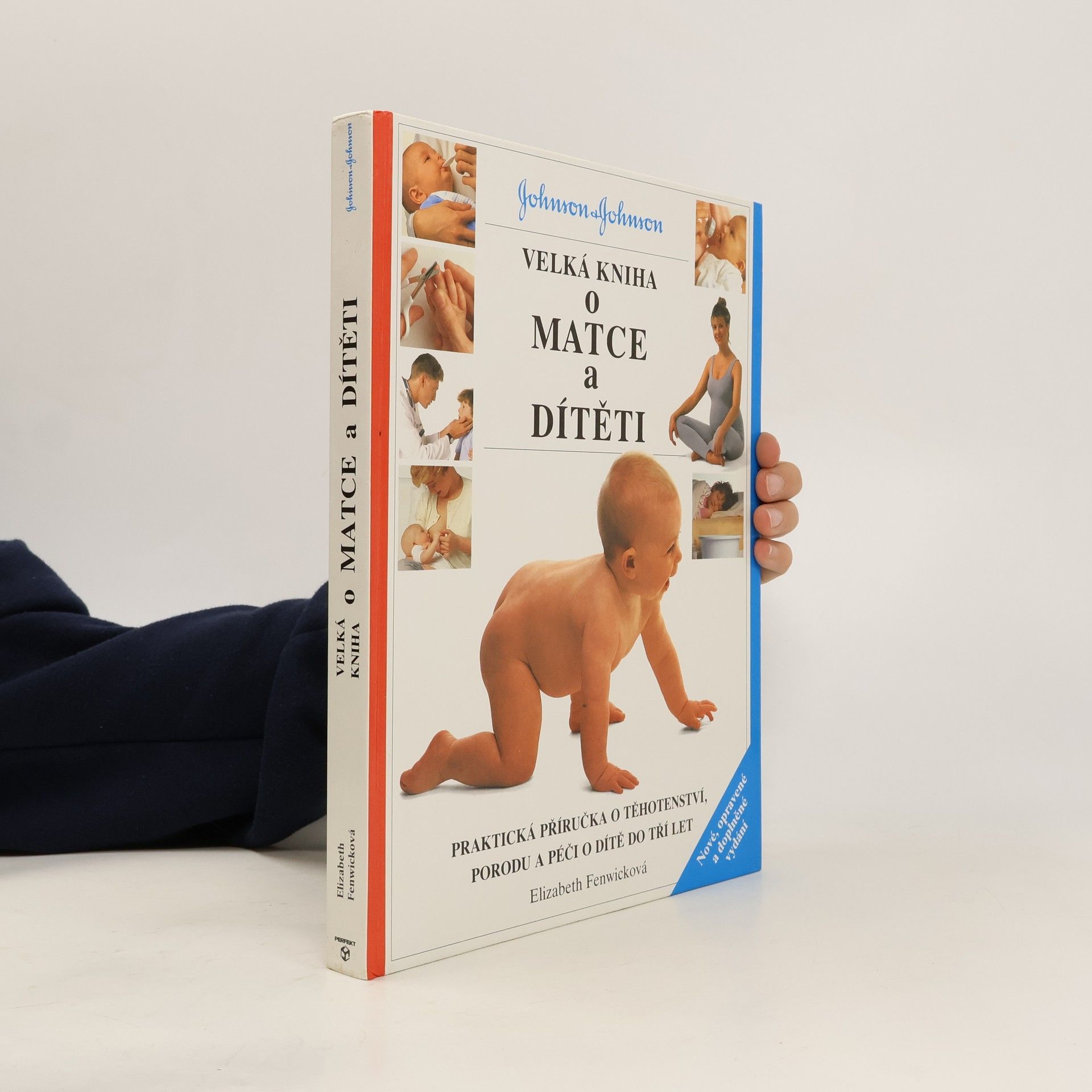 Elizabeth Fenwick Velká kniha o matce a dítěti