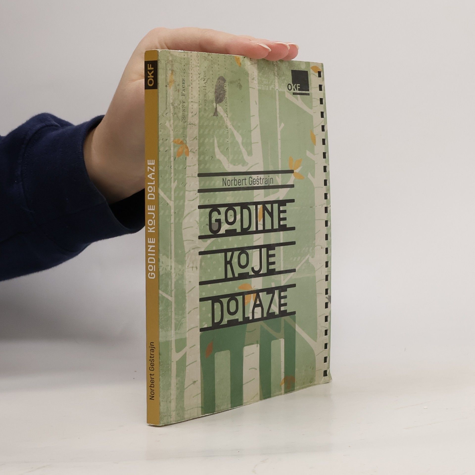 Norbert Gstrein Godine koje dolaze