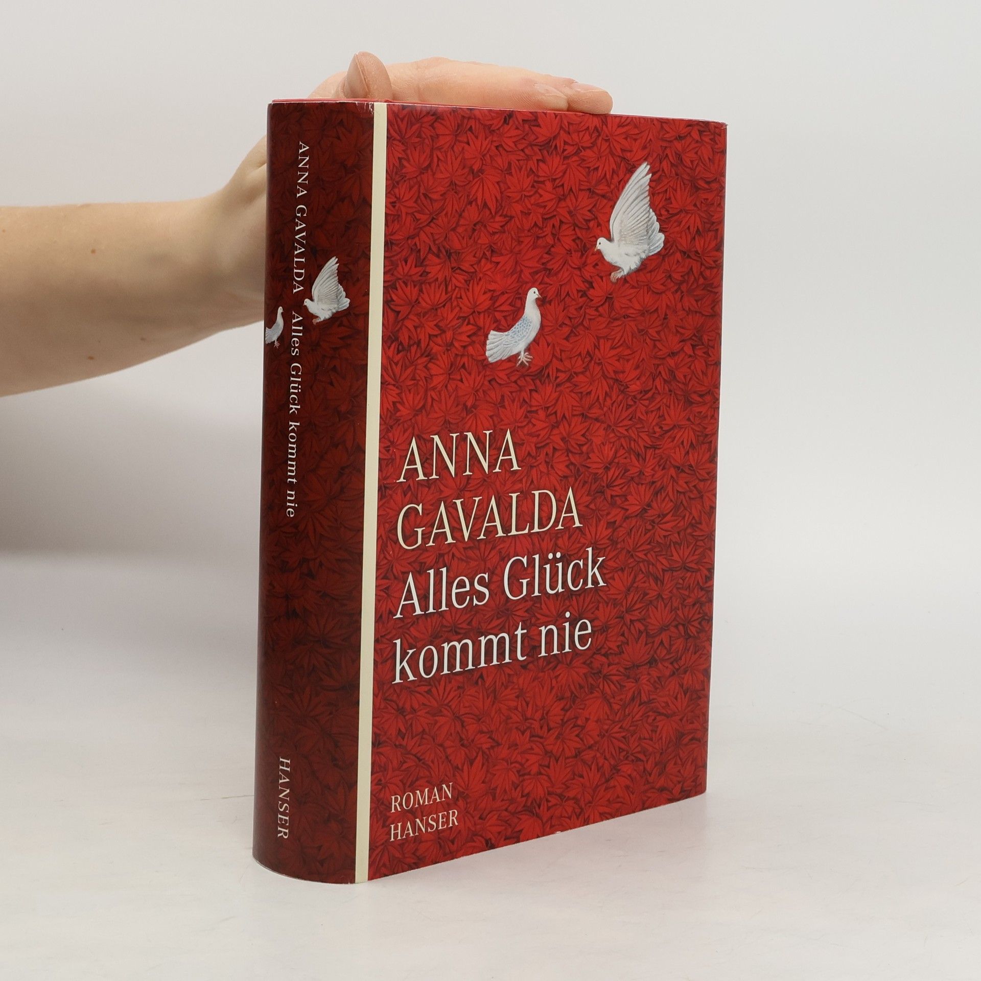 Anna Gavalda Alles Glück kommt nie