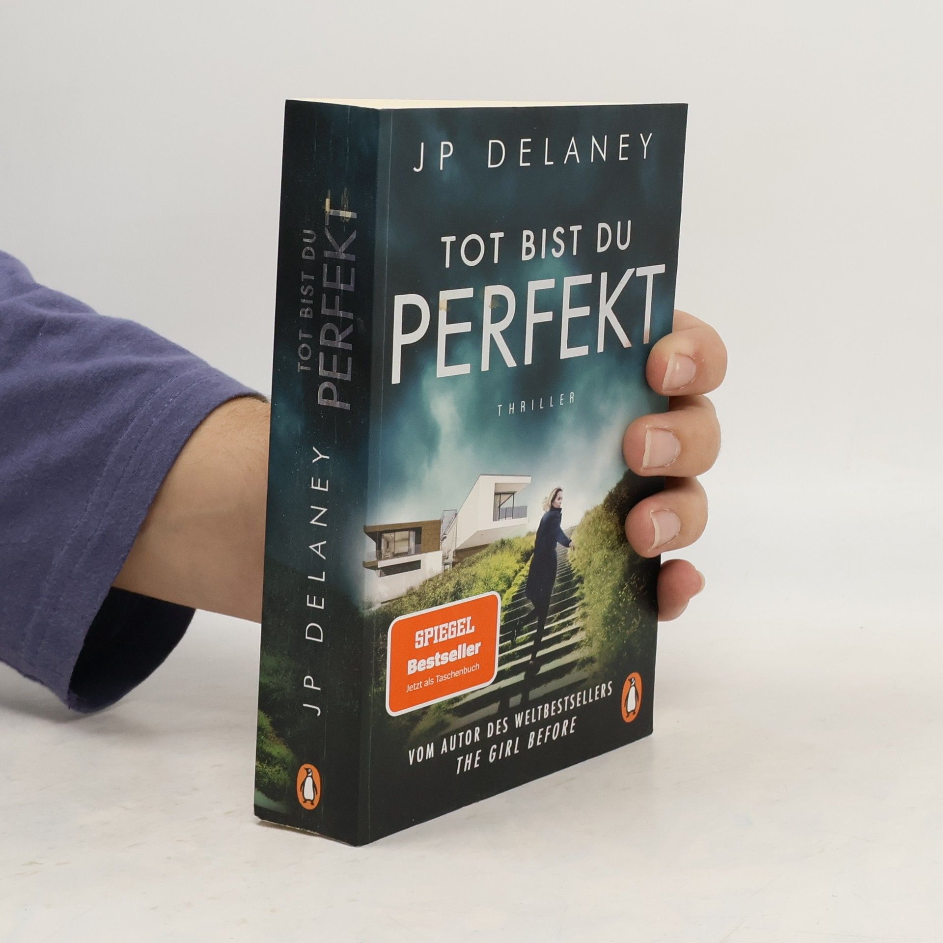 J. P. Delaney Tot bist du perfekt