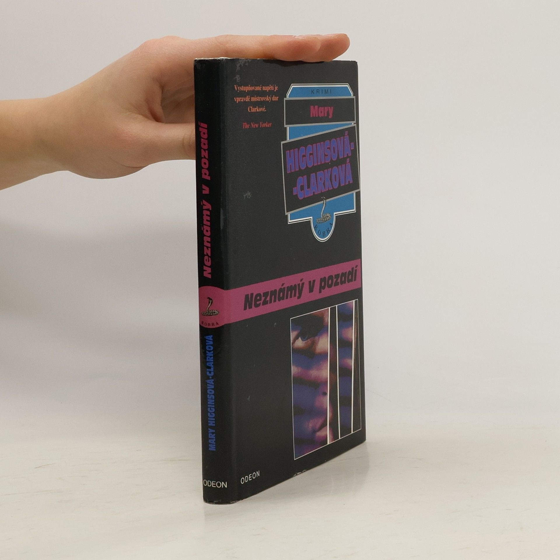 Mary Higgins Clark Neznámý v pozadí