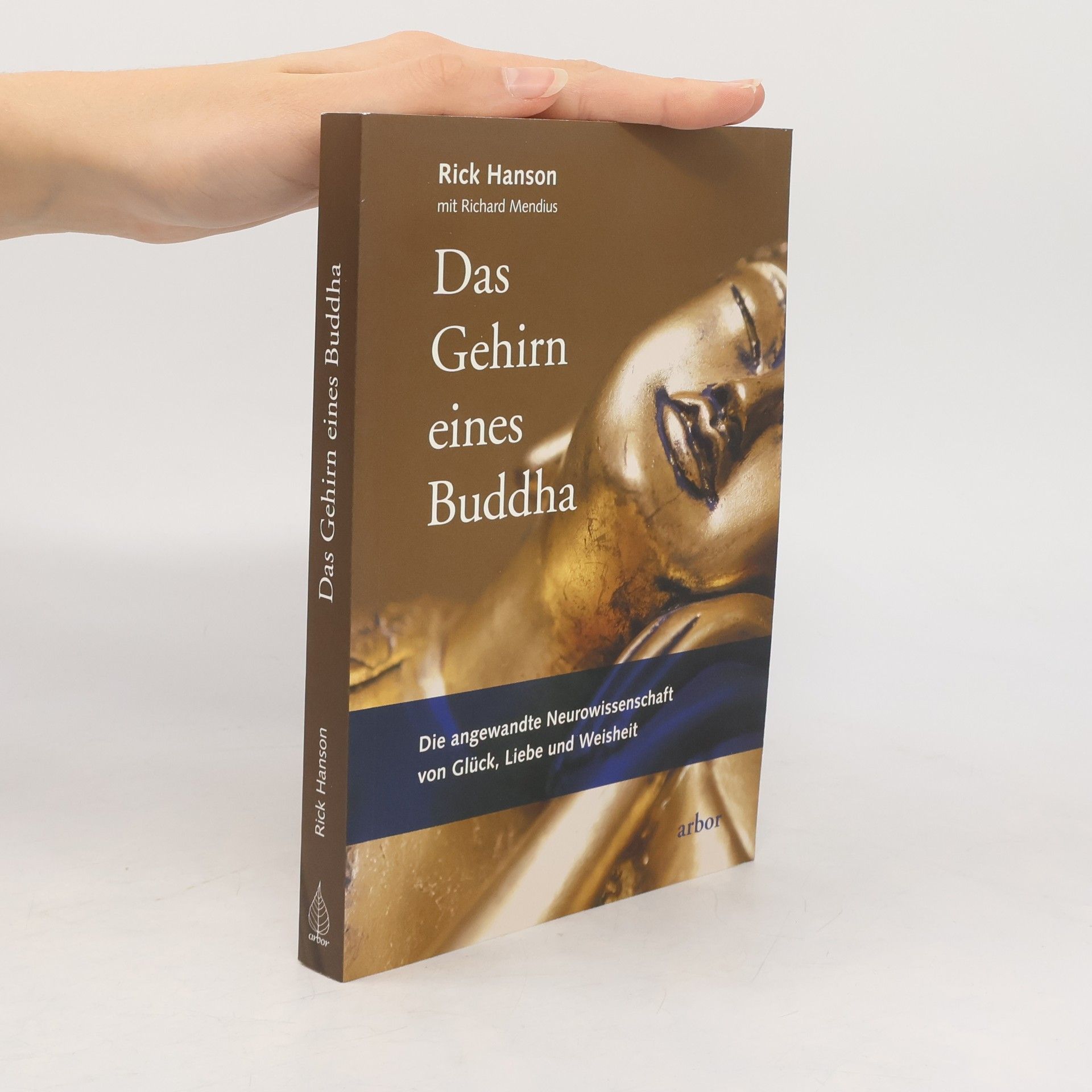 Rick Hanson Das Gehirn eines Buddha