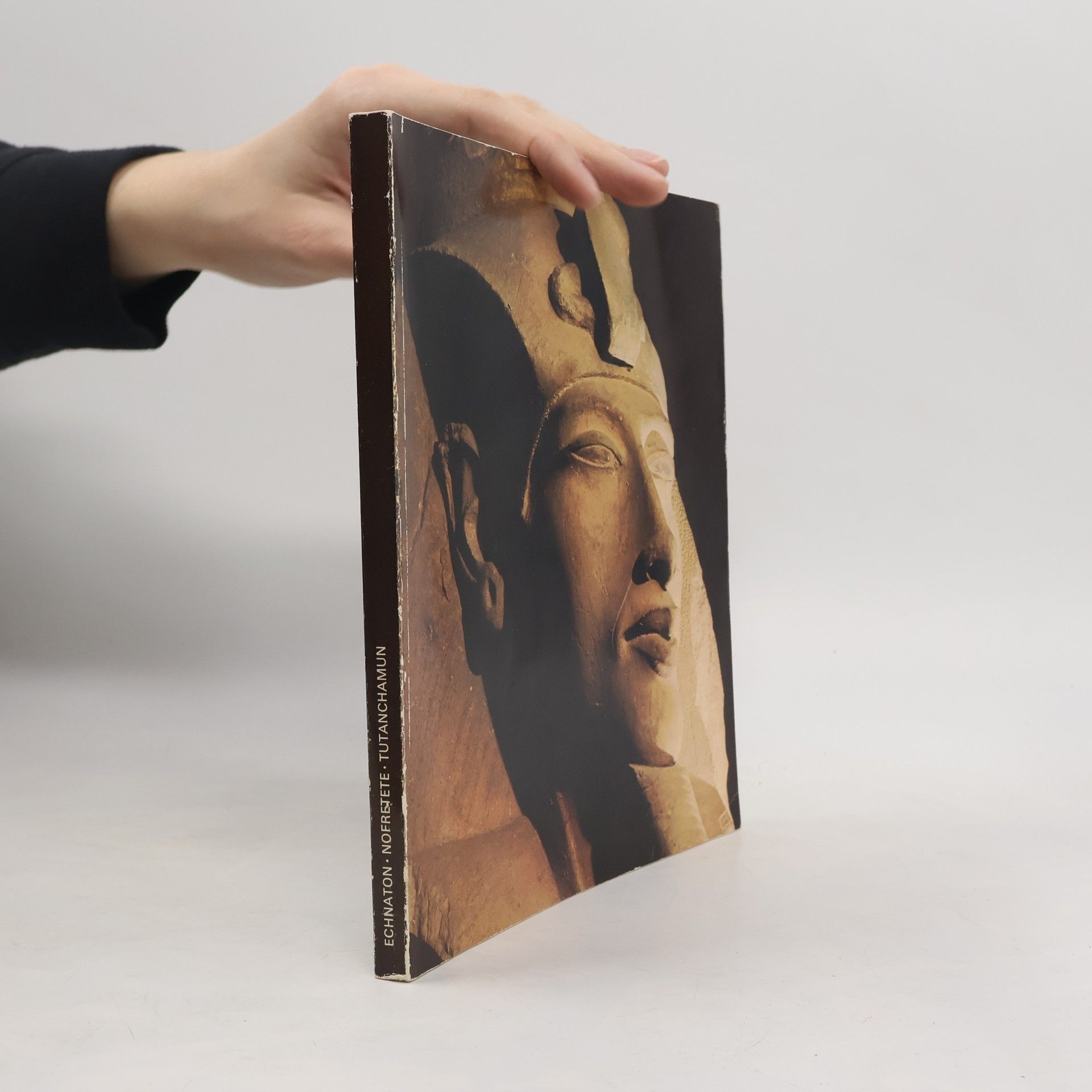 Helmut Satzinger Echnaton, Nofretete, Tutanchamun