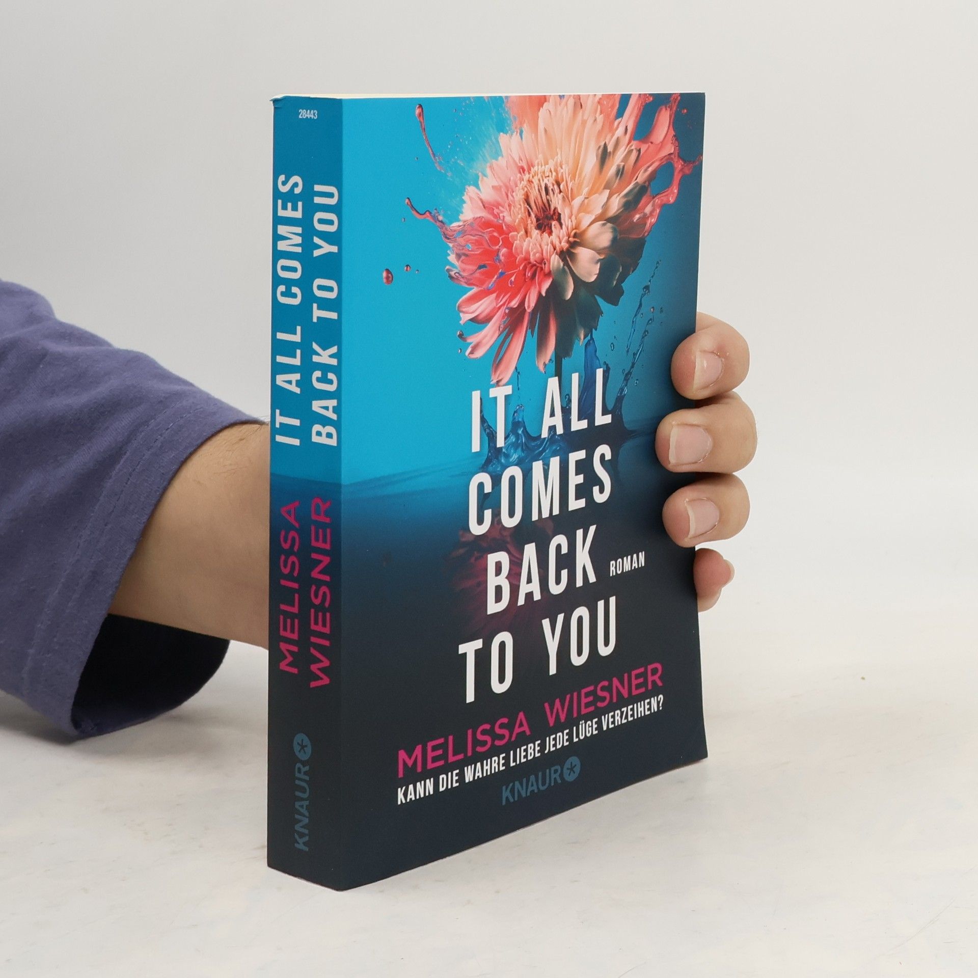 Melissa Wiesner It all comes back to you - Kann die wahre Liebe jede Lüge verzeihen?