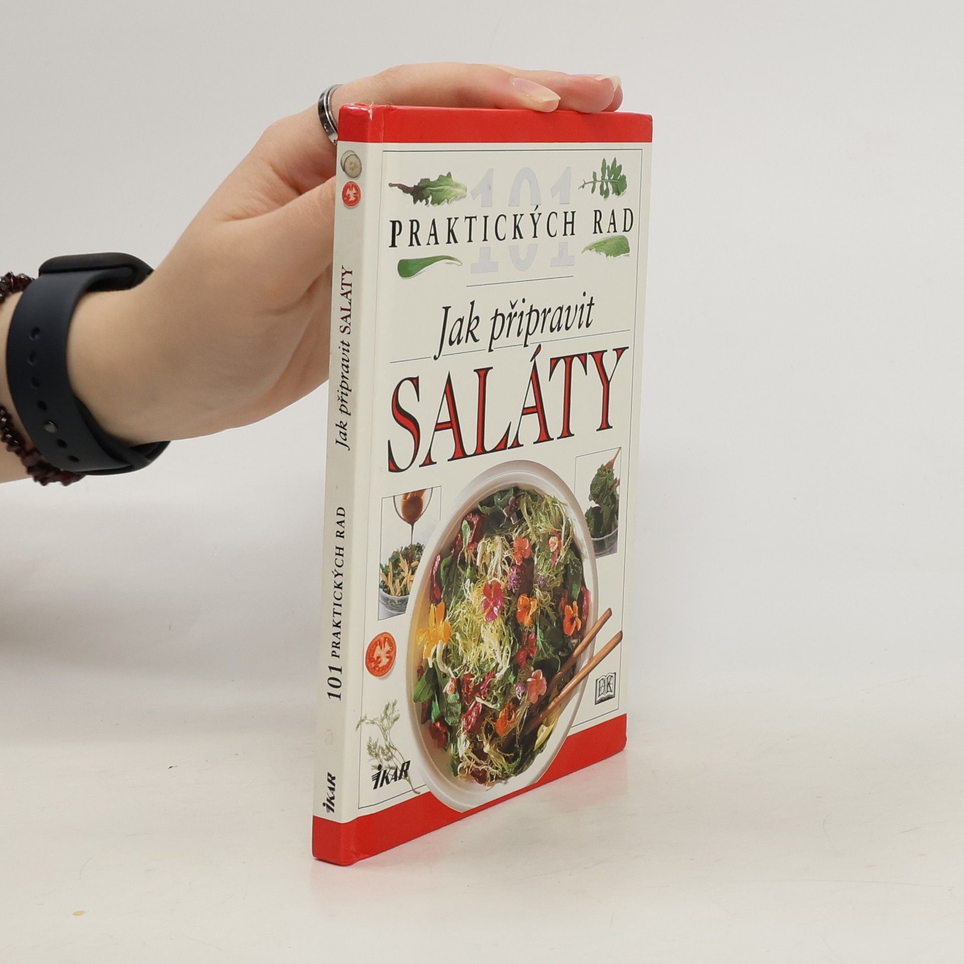 Anne Willan Jak připravit saláty