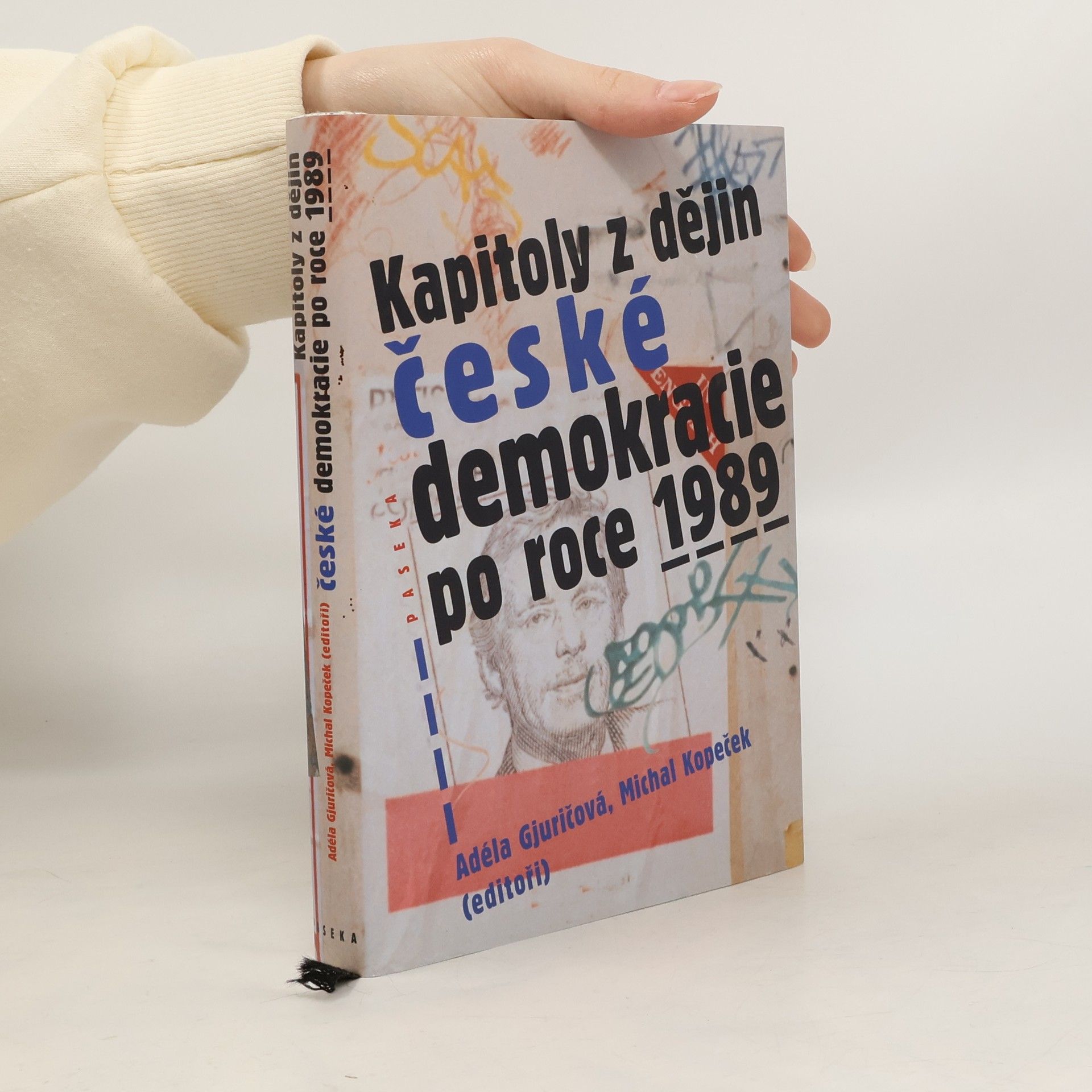 Kapitoly z dějin české demokracie po roce 1989