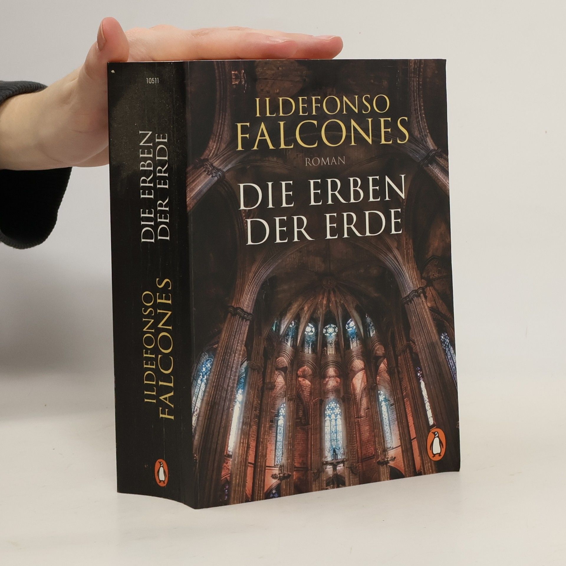 Ildefonso Falcones Die Erben der Erde