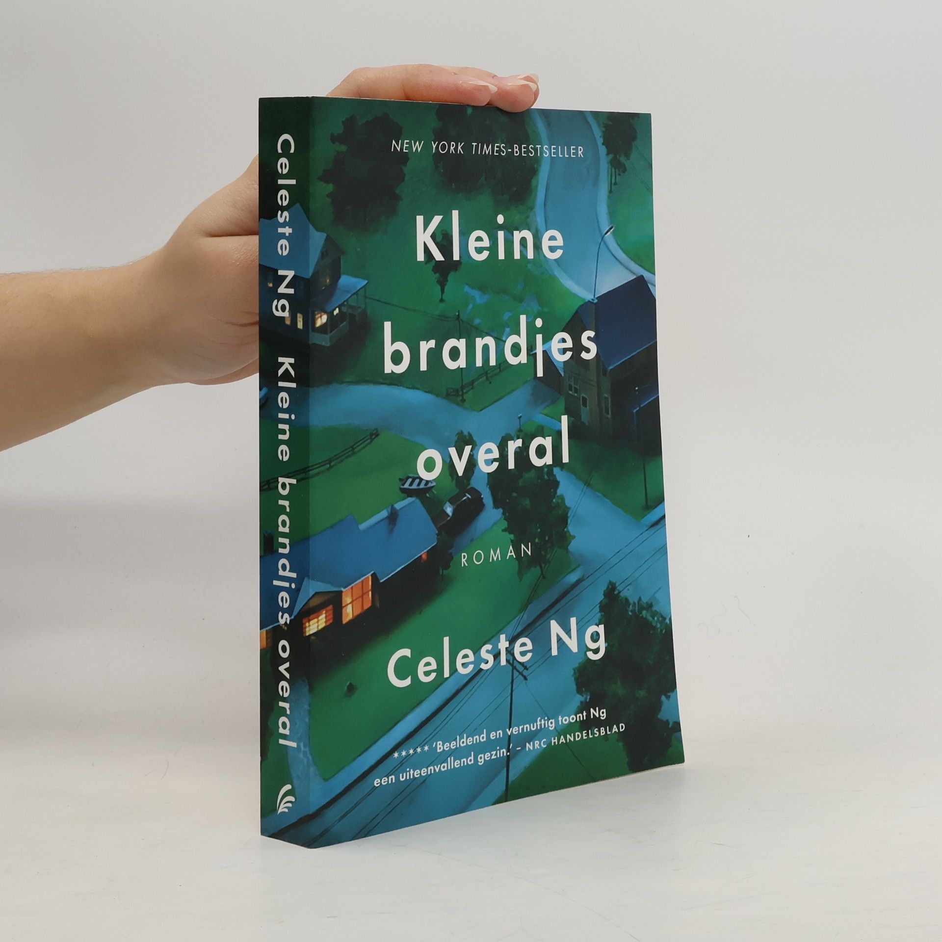 Celeste Ng Kleine brandjes overal
