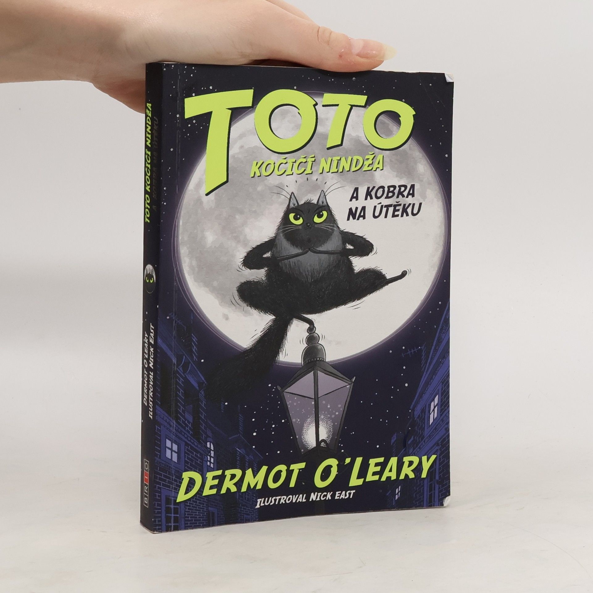 Dermot O\'Leary Toto kočičí nindža a kobra na útěku