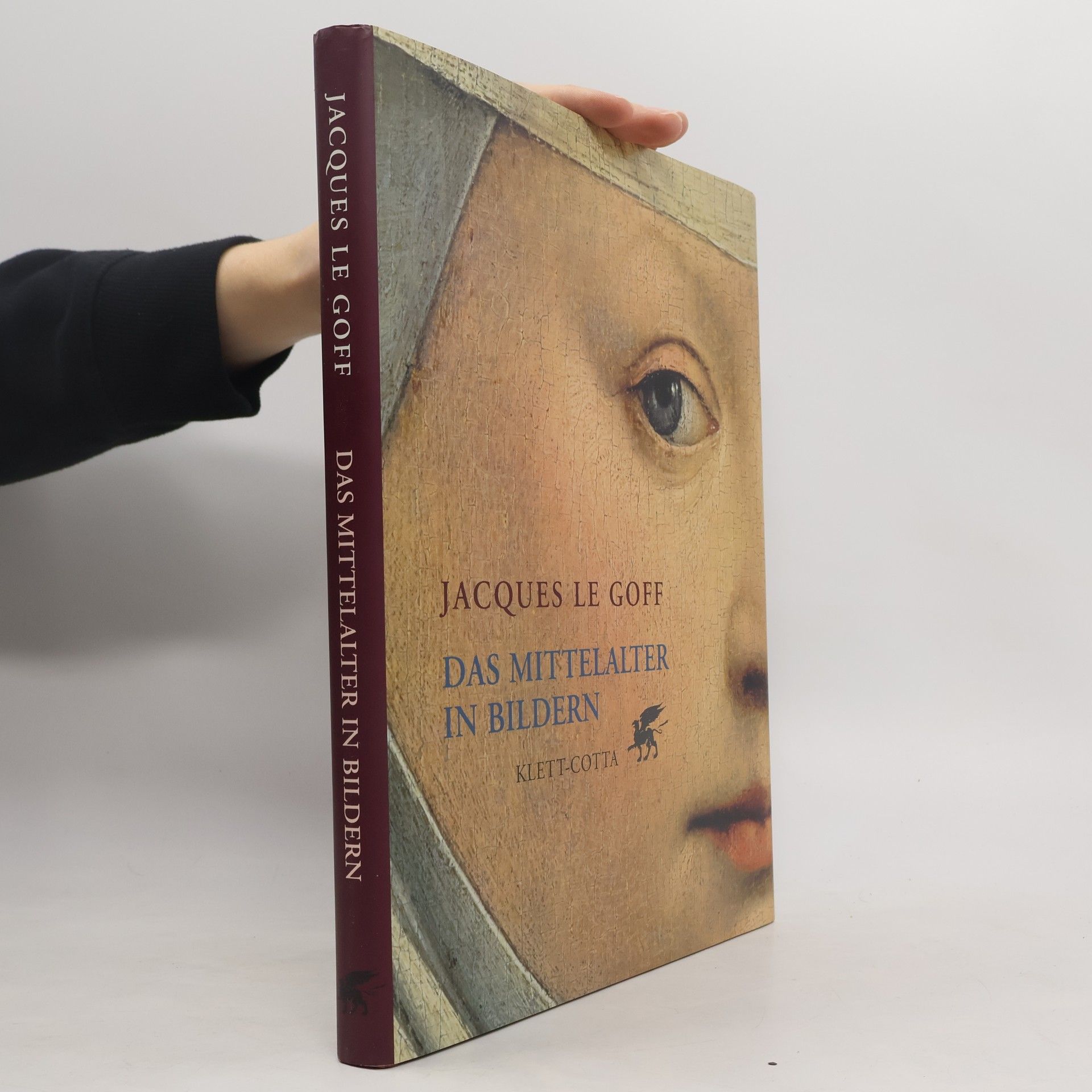 Jacques Le Goff Das Mittelalter in Bildern