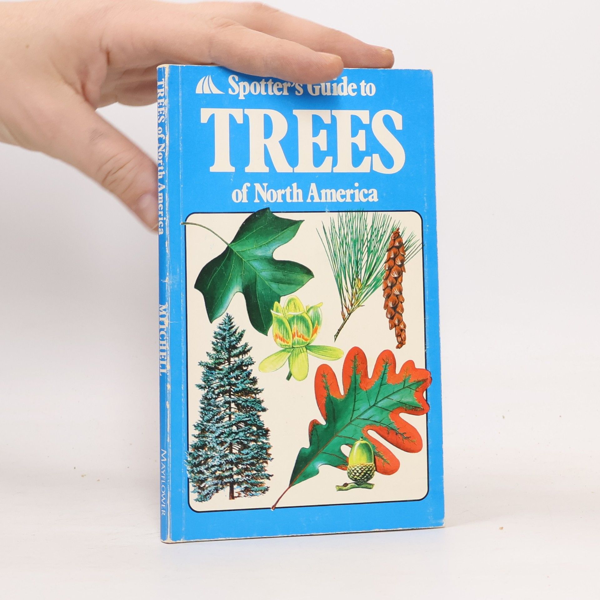 Alan Mitchell  Spotter's Guide to Trees of North America