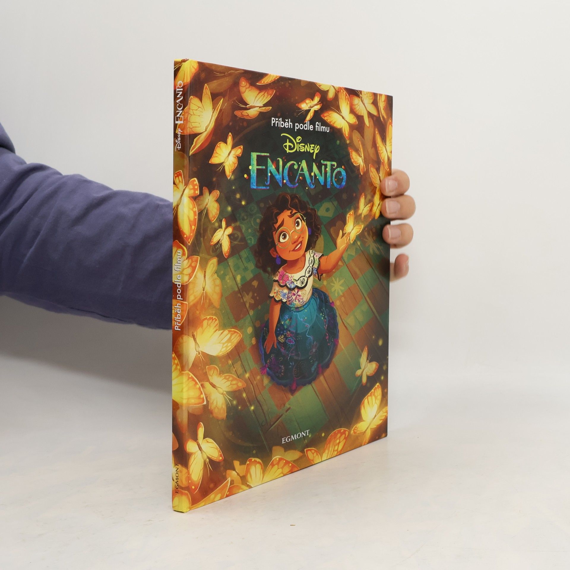 Petra Vichrová Encanto: příběh podle filmu