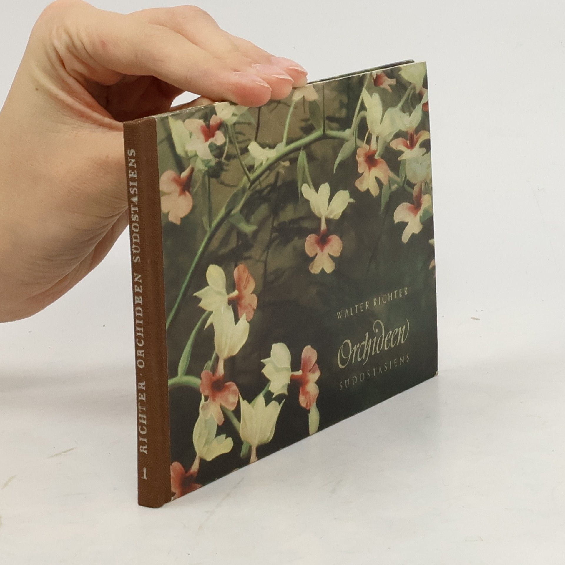 Walter Richter Orchideen Südostasiens 1