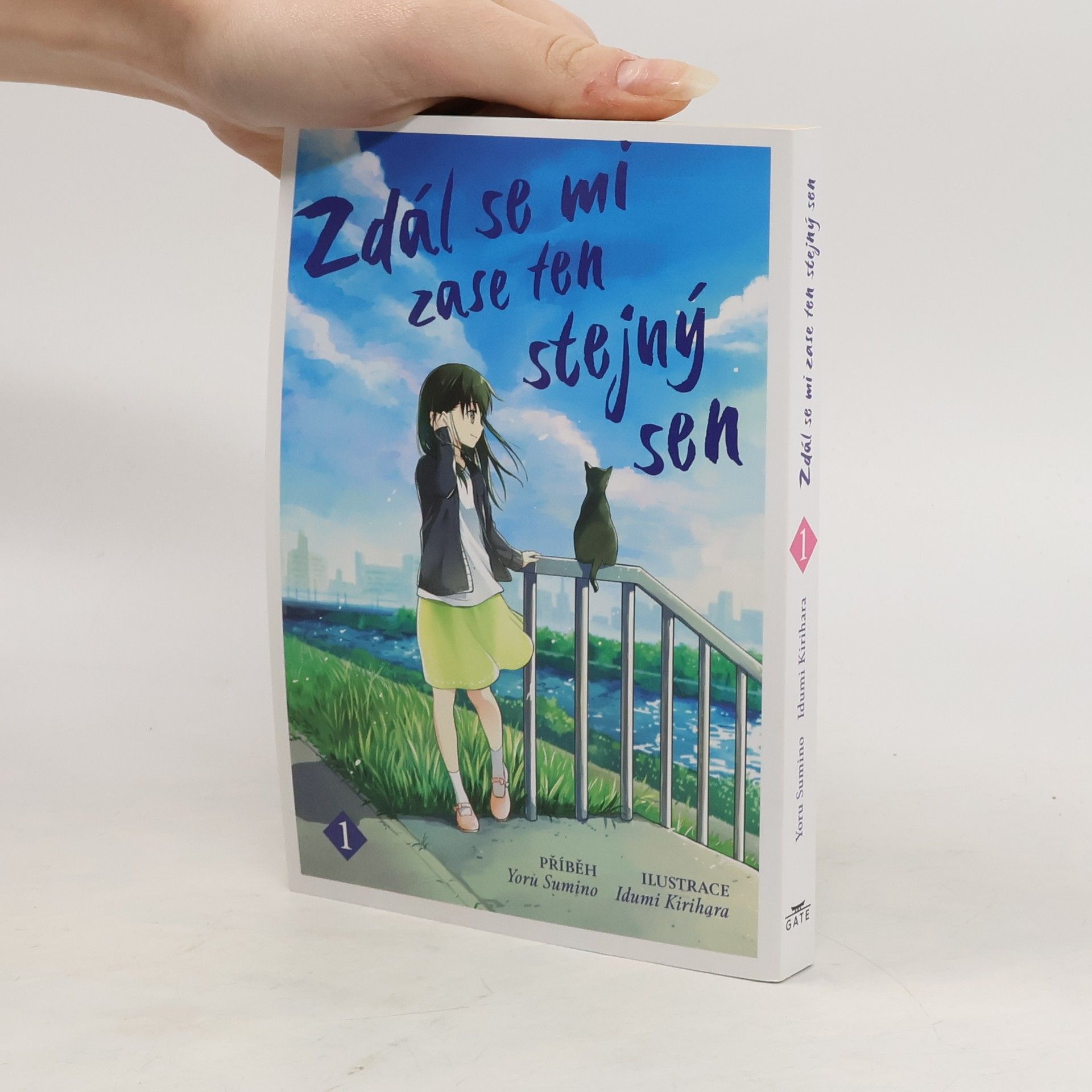 Joru Sumino Zdál se mi zase ten stejný sen 1