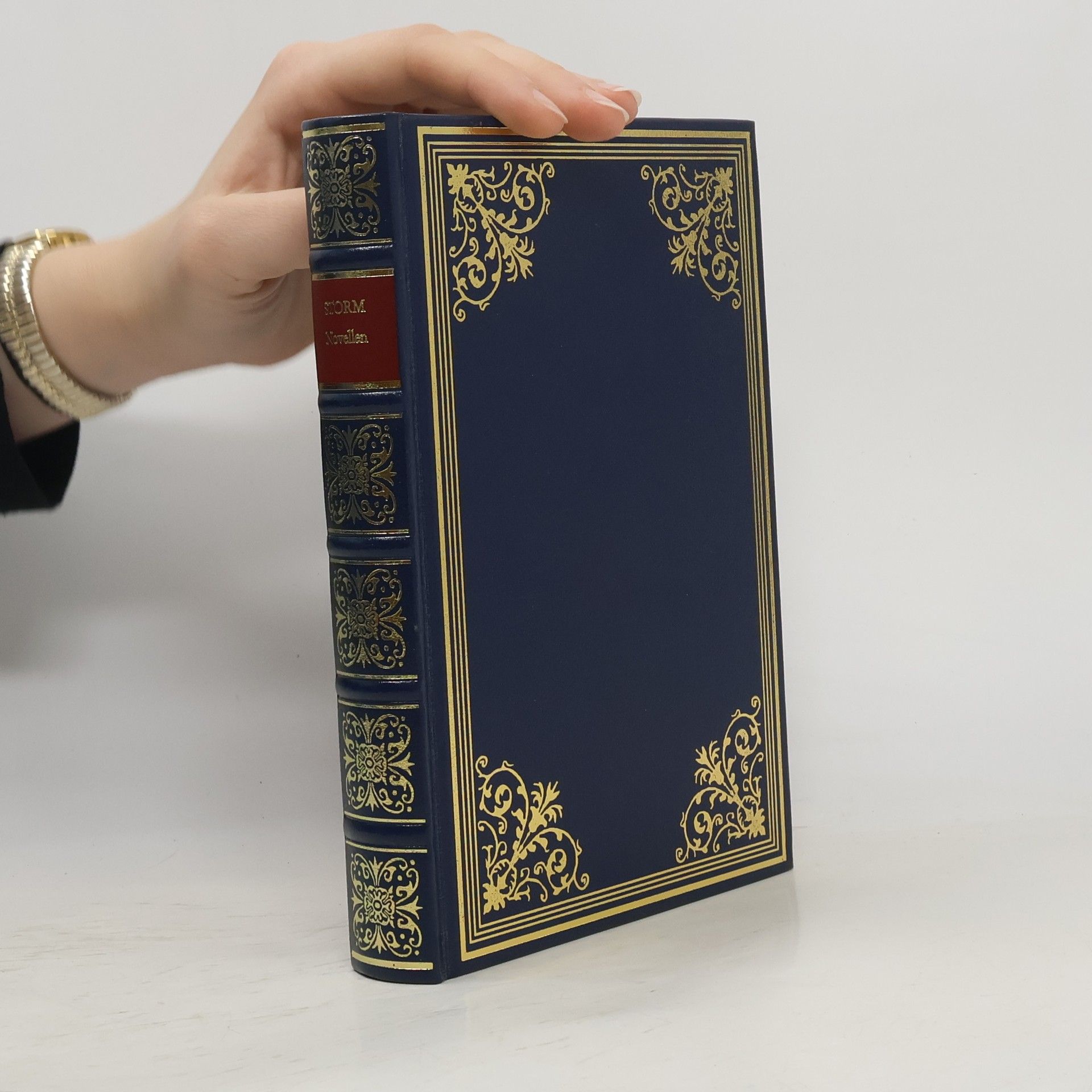 Theodor Storm Novellen