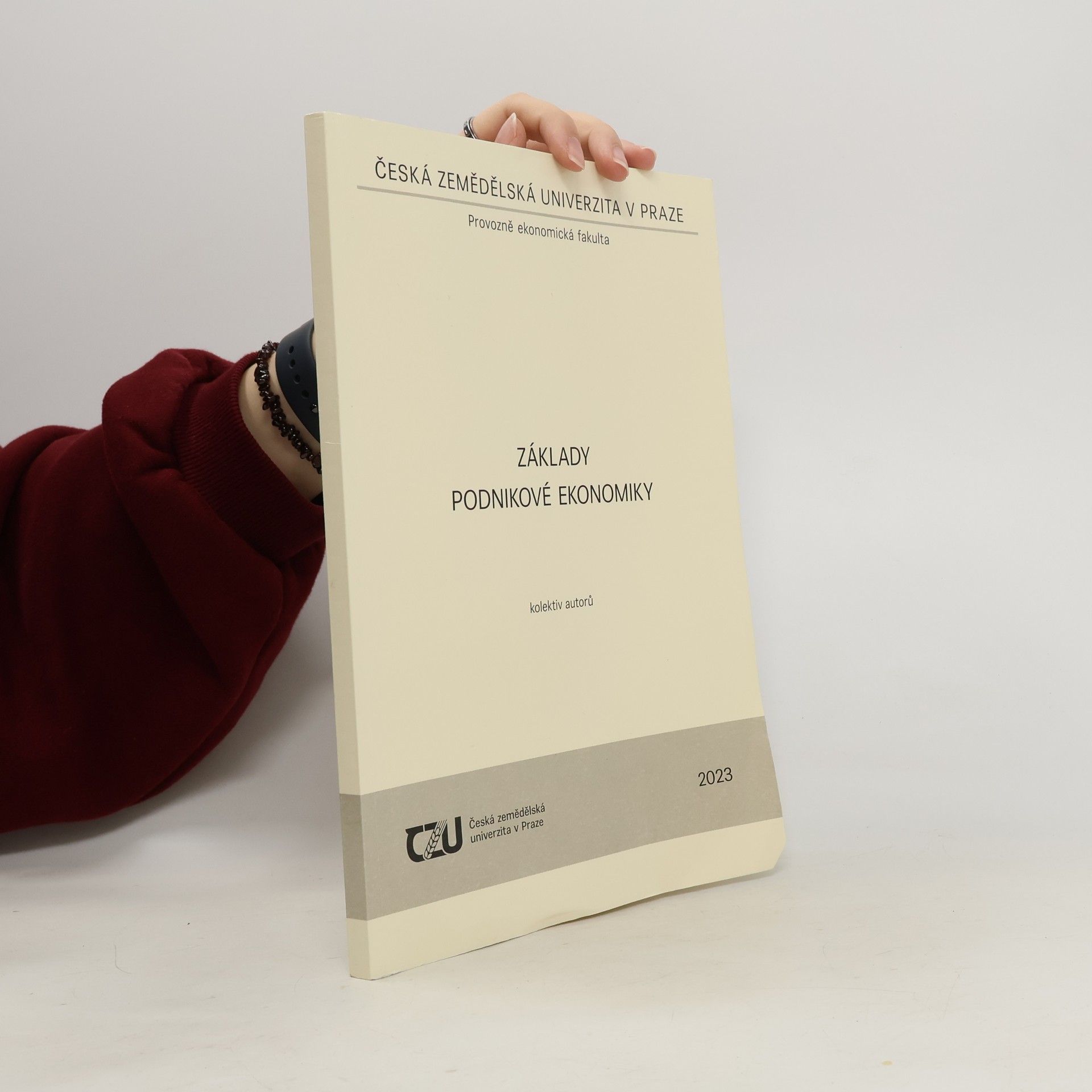 Kolektiv autorů Základy podnikové ekonomiky