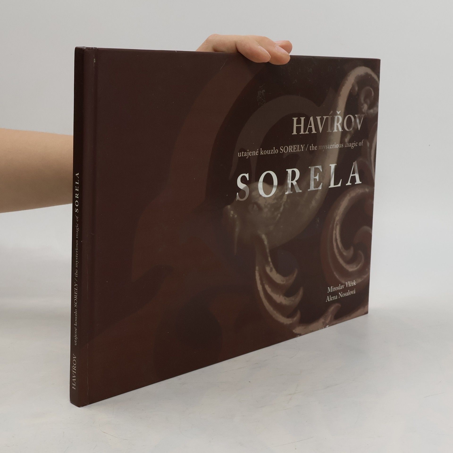 Miroslav Vlček Havířov. Utajené kouzlo Sorely