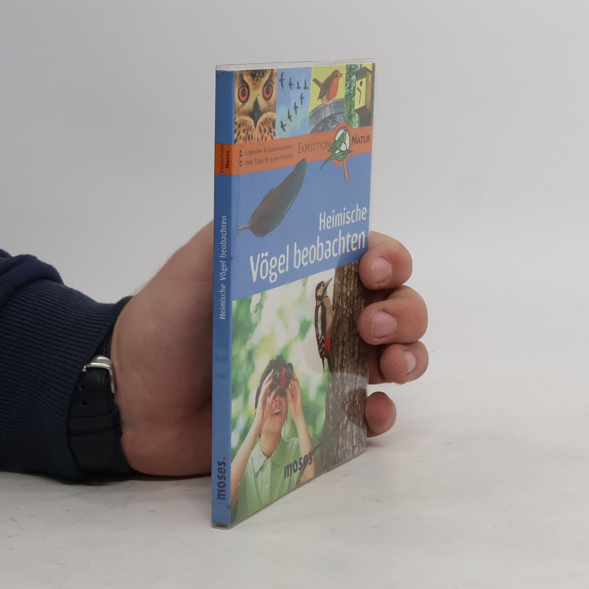 Bärbel Oftring Heimische Vögel beobachten