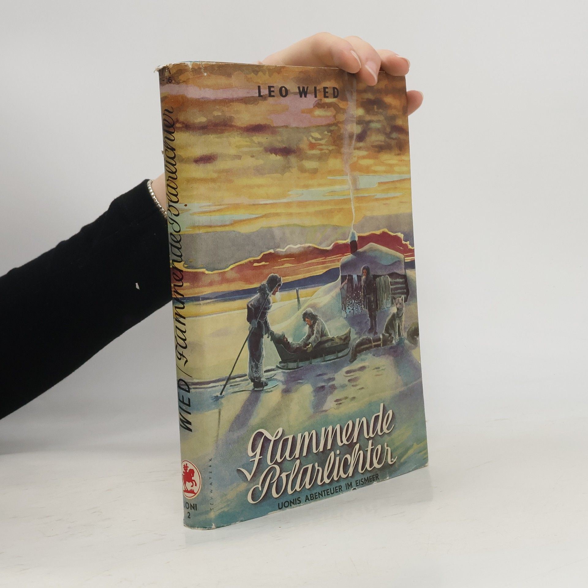 Leo Wied Flammende Polarlichter